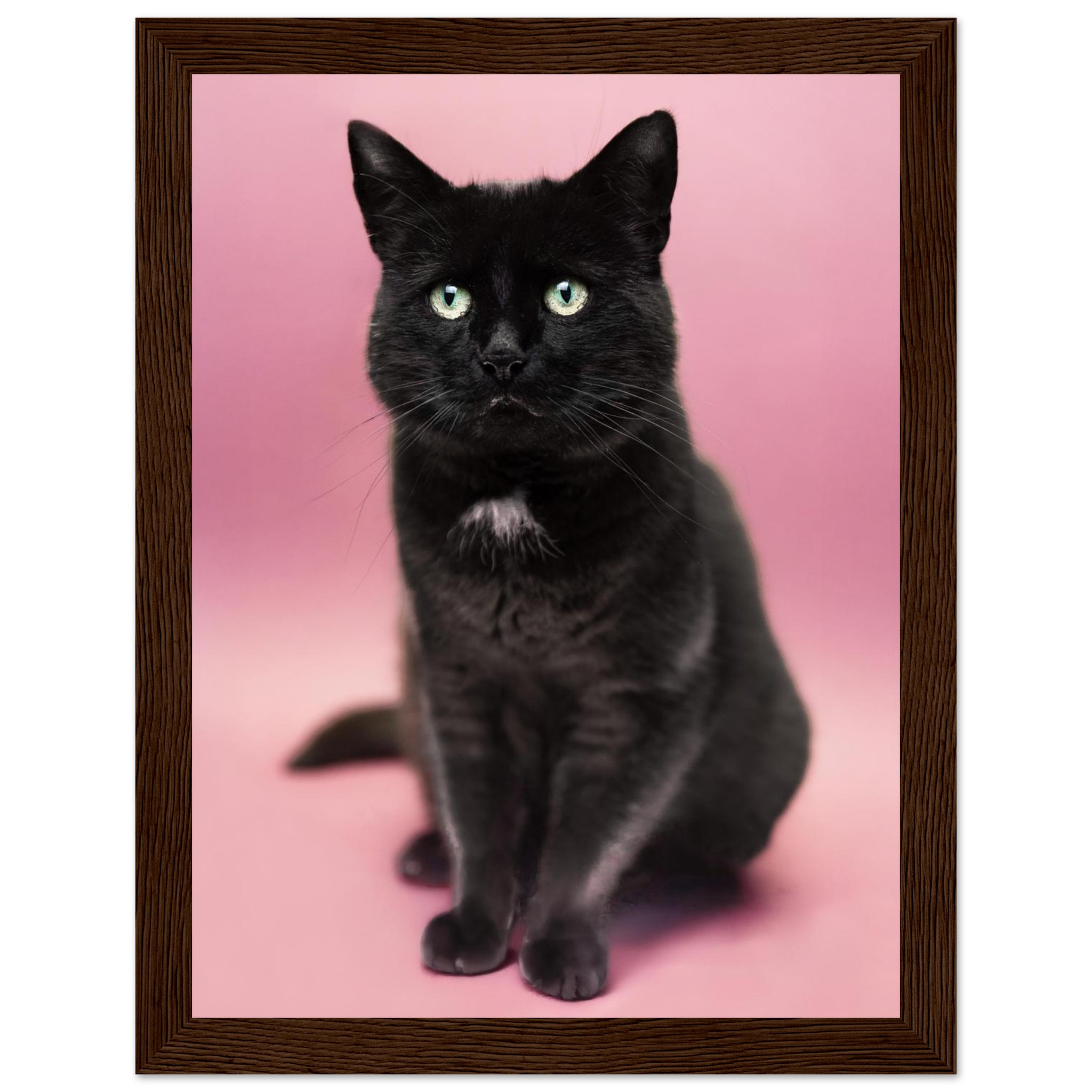 9dbfd860-d1ce-4dbf-b62d-ae43080c0ba3