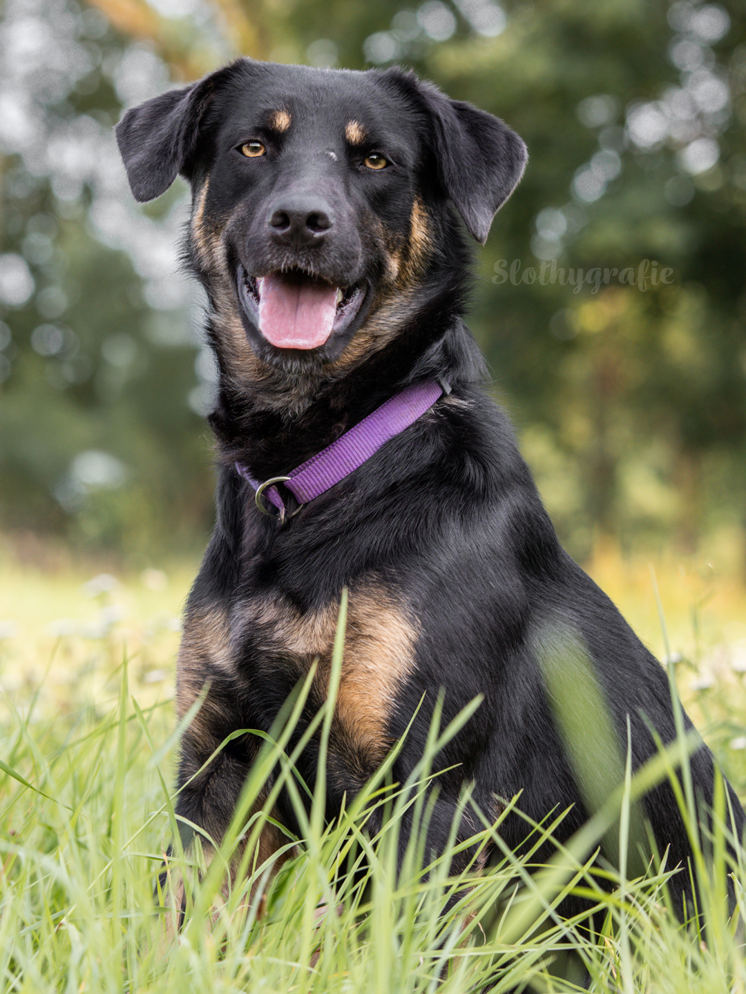 Ehrenamtliches Fotoshooting mit Mia in Langenau Ehrenamtliches Fotoshooting mit Mia in Langenau
