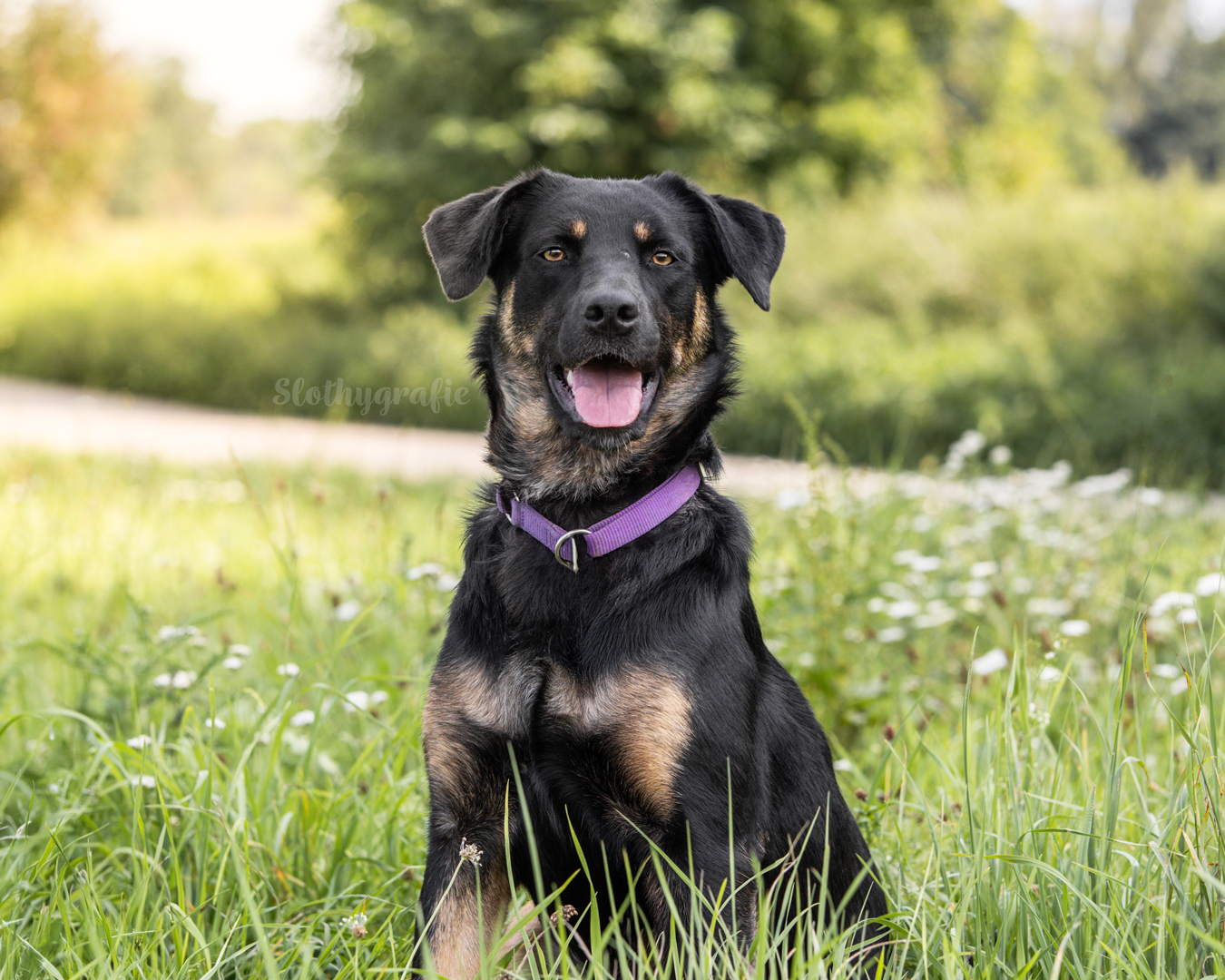 Ehrenamtliches Fotoshooting mit Mia in Langenau Ehrenamtliches Fotoshooting mit Mia in Langenau