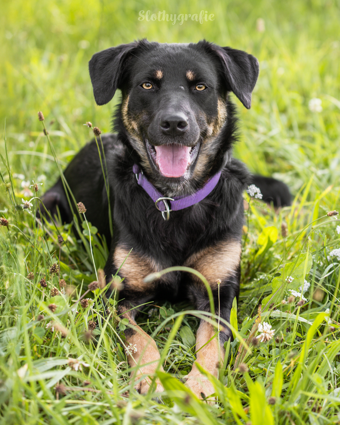 Ehrenamtliches Fotoshooting mit Mia in Langenau Ehrenamtliches Fotoshooting mit Mia in Langenau