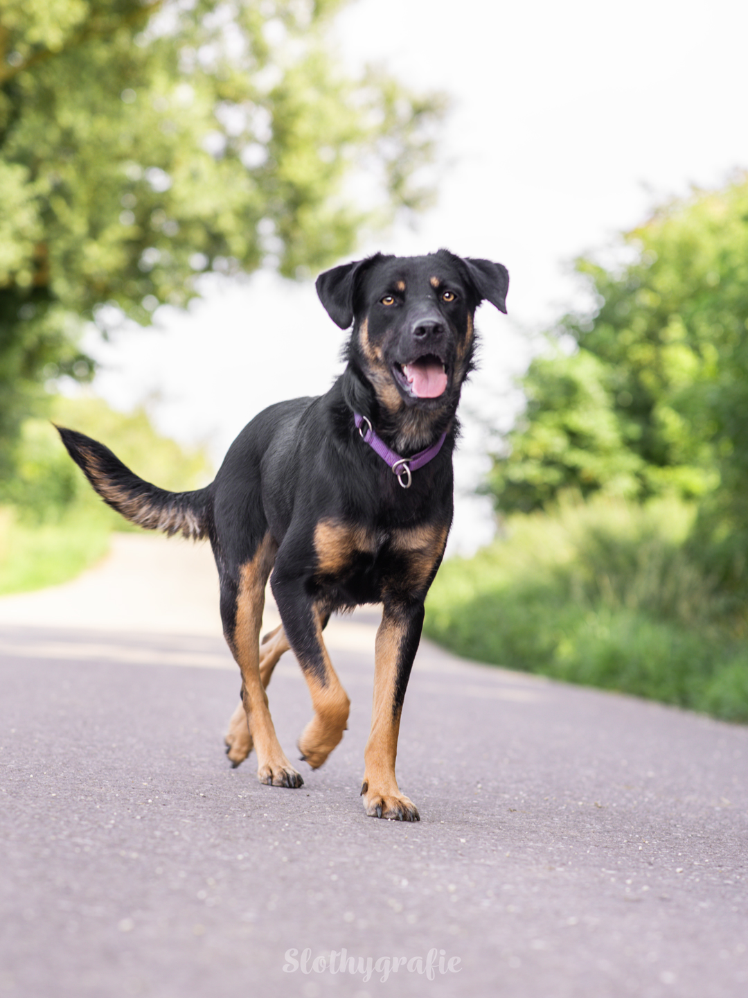 Ehrenamtliches Fotoshooting mit Mia in Langenau Ehrenamtliches Fotoshooting mit Mia in Langenau