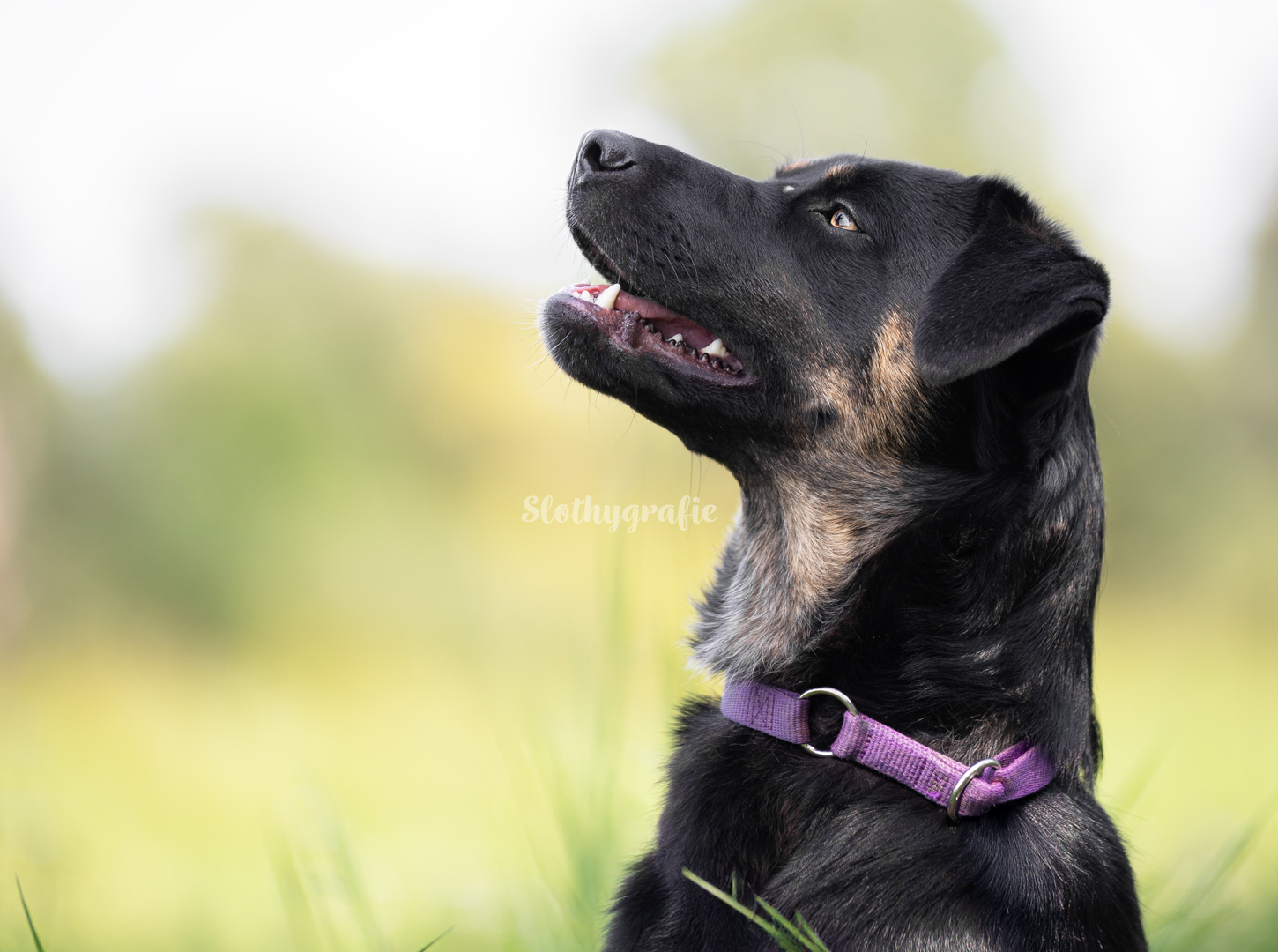 Ehrenamtliches Fotoshooting mit Mia in Langenau Ehrenamtliches Fotoshooting mit Mia in Langenau