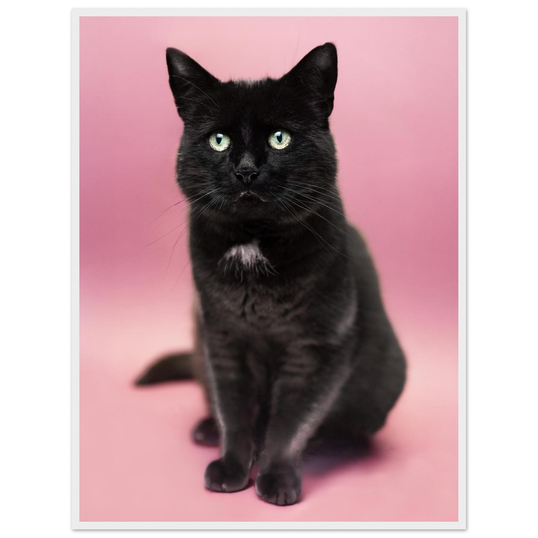 a275dc5e-f68a-4d51-9bb1-f897c8a576d3