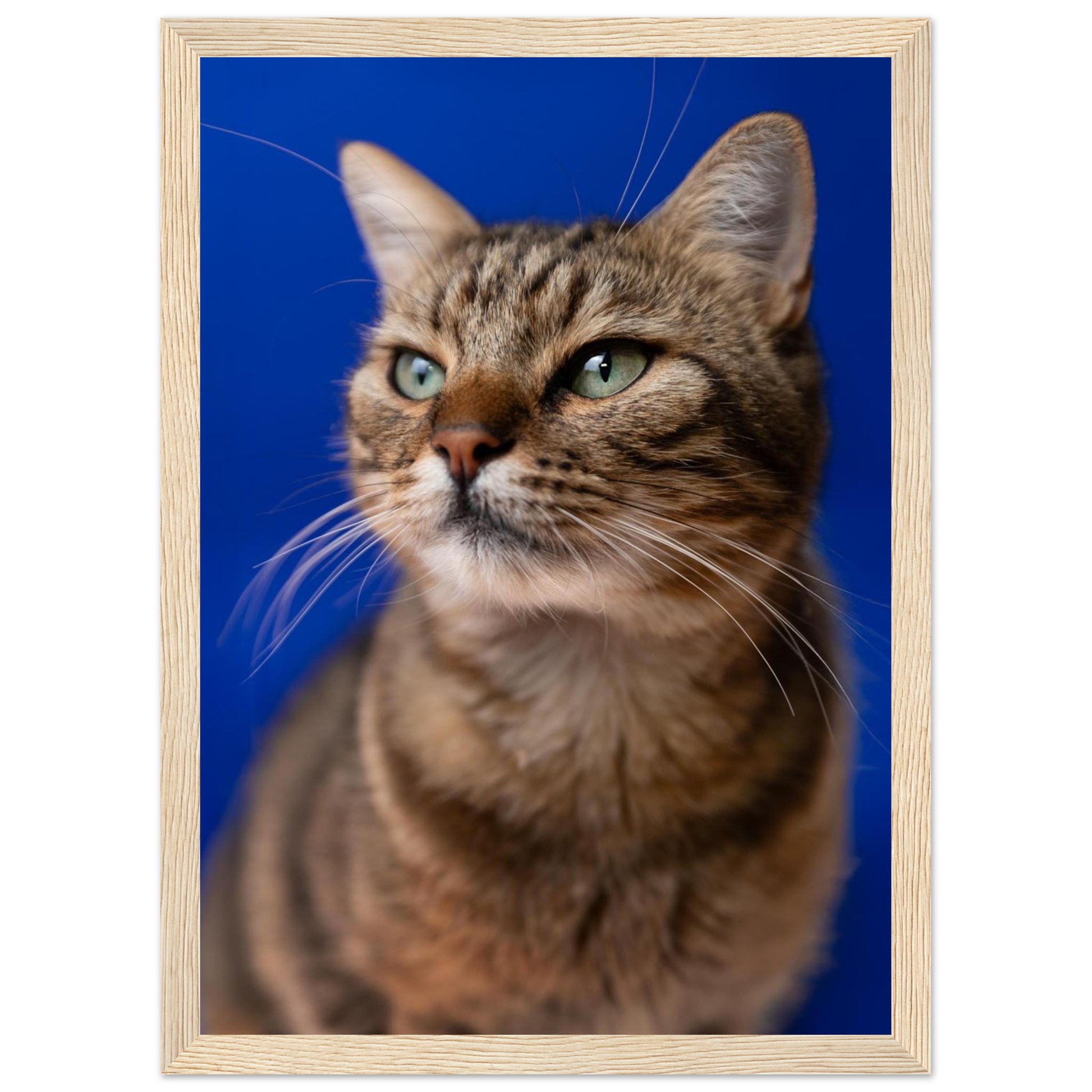 a59f61a0-2e10-497b-a288-27b3e512b795