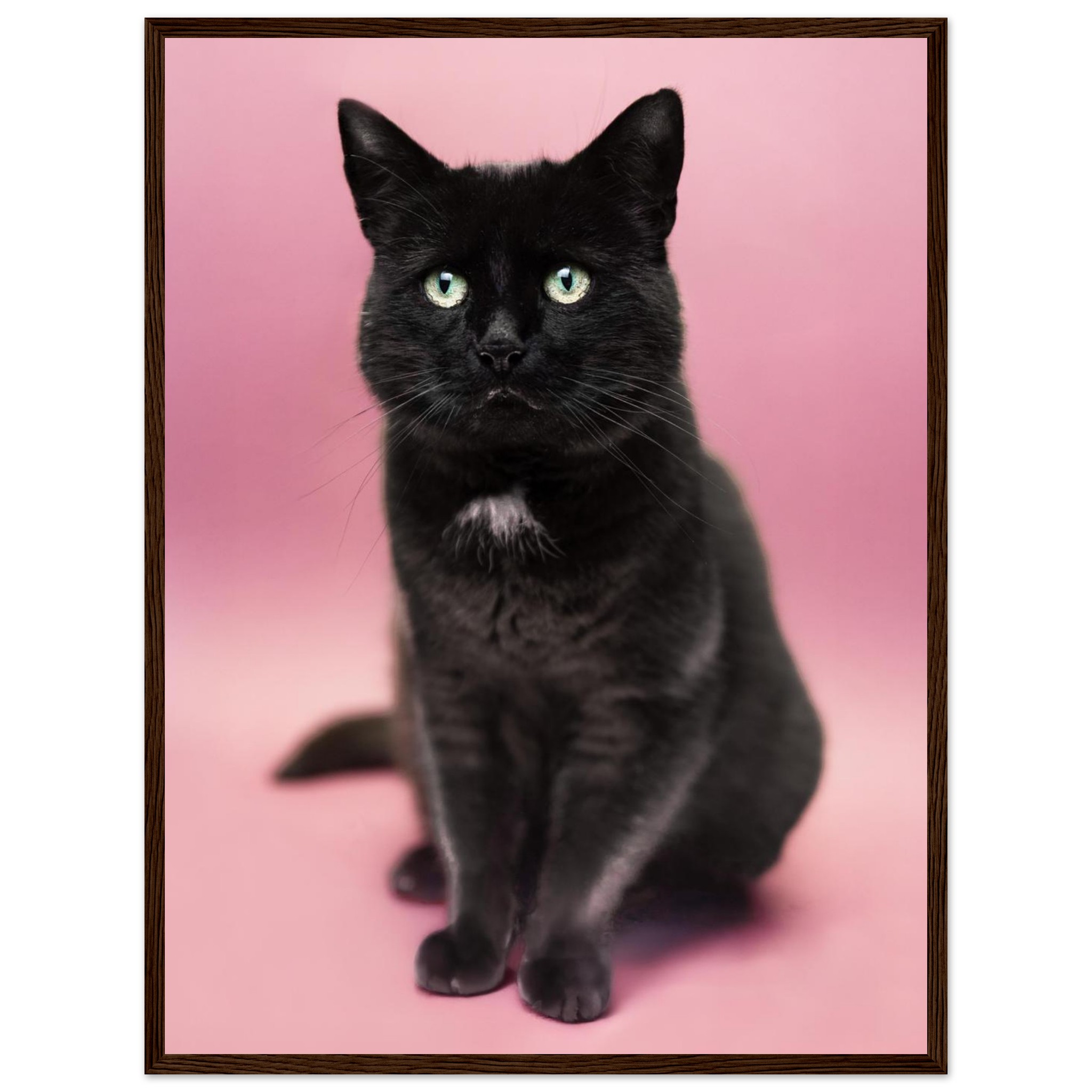 b01df020-f1c8-42a3-bf38-851b2c15f272