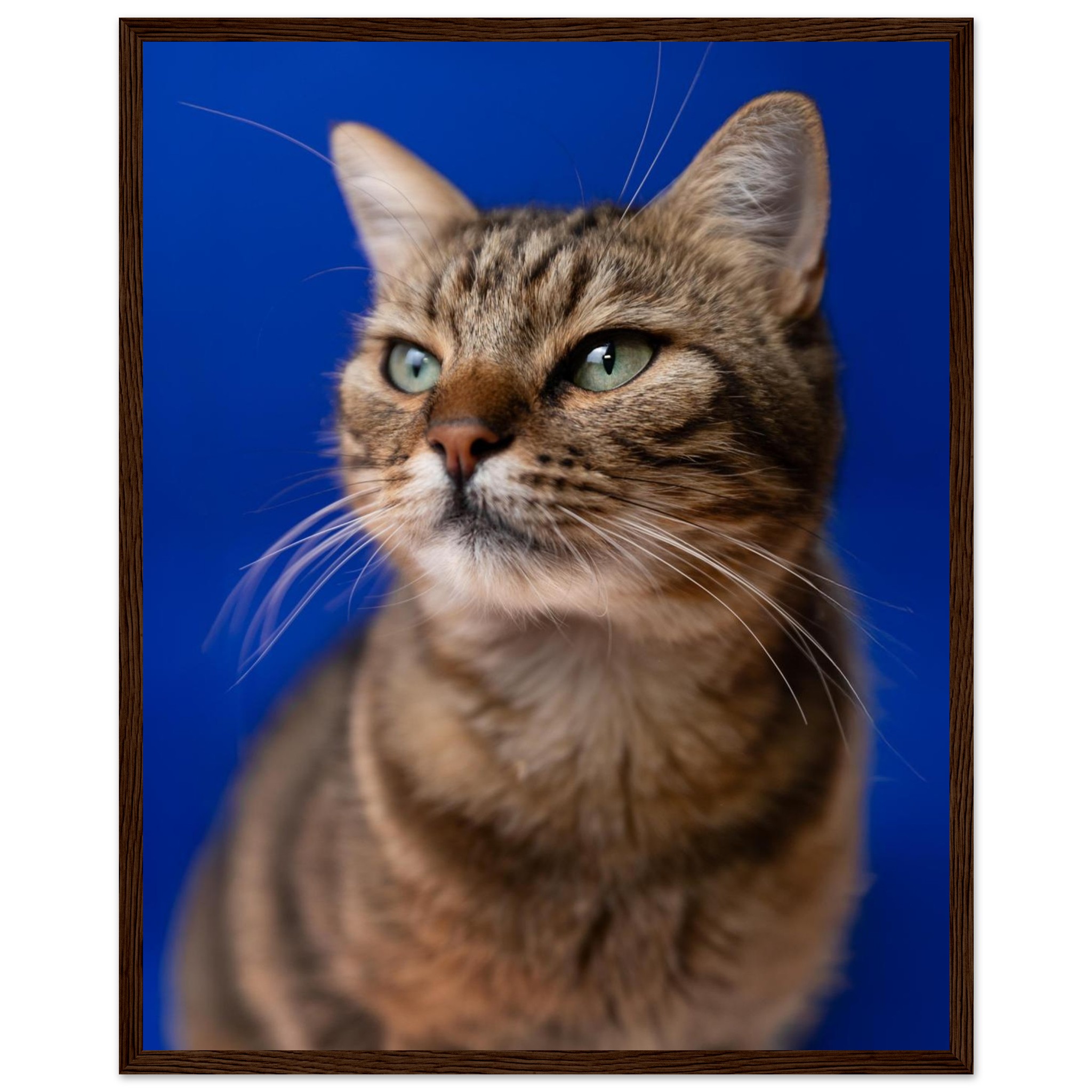 b02a8a14-bd07-46f3-a987-33753a5c9f15