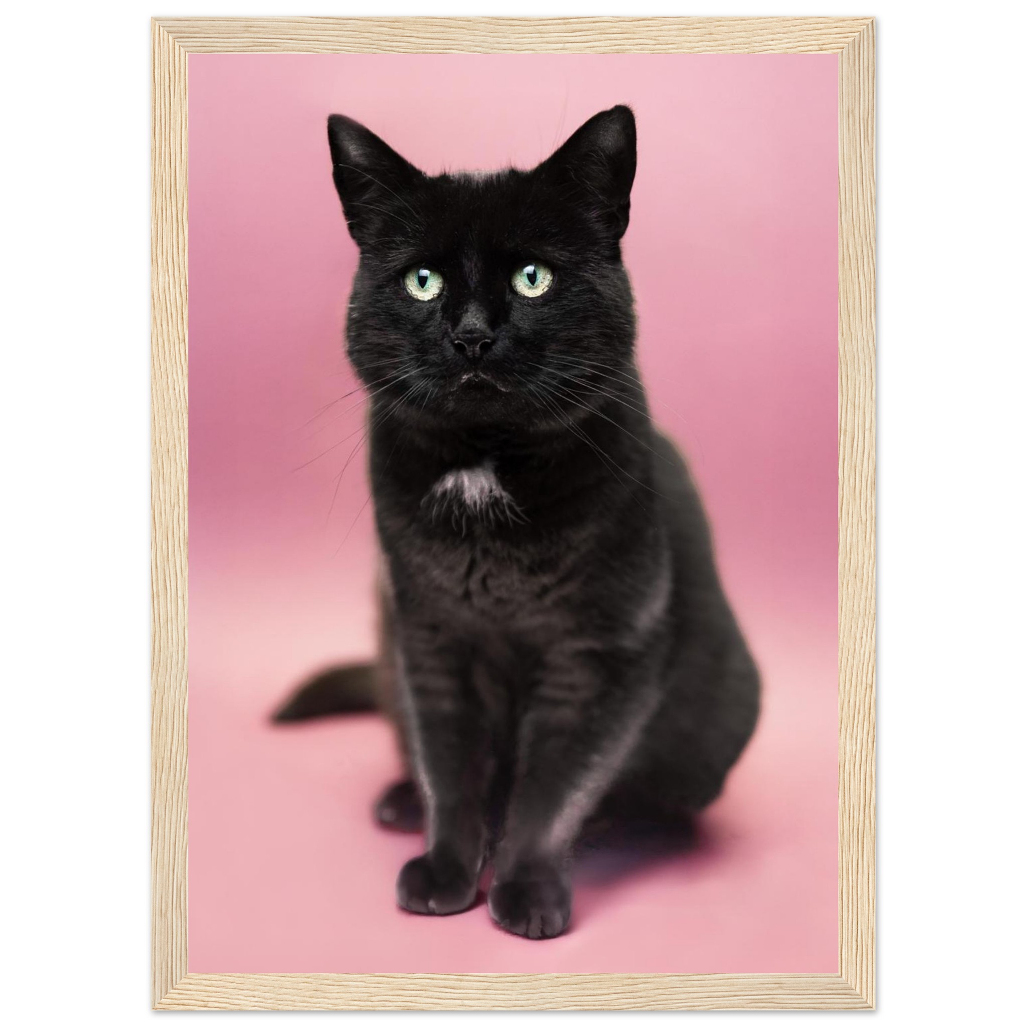 b6f6bcaf-926f-468a-ab7e-2946fe8d46d7