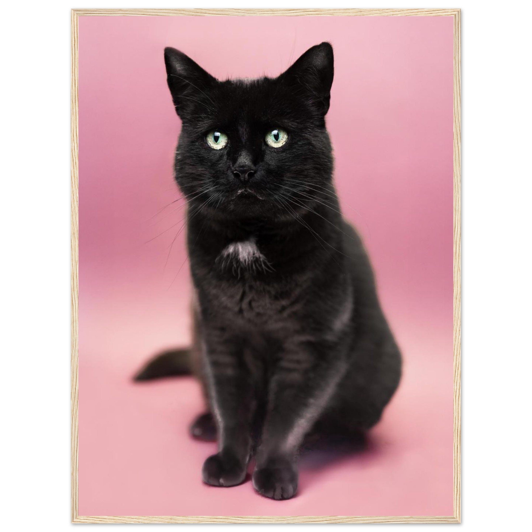 b88ee4a7-2acf-48c5-b407-589b3ec12005