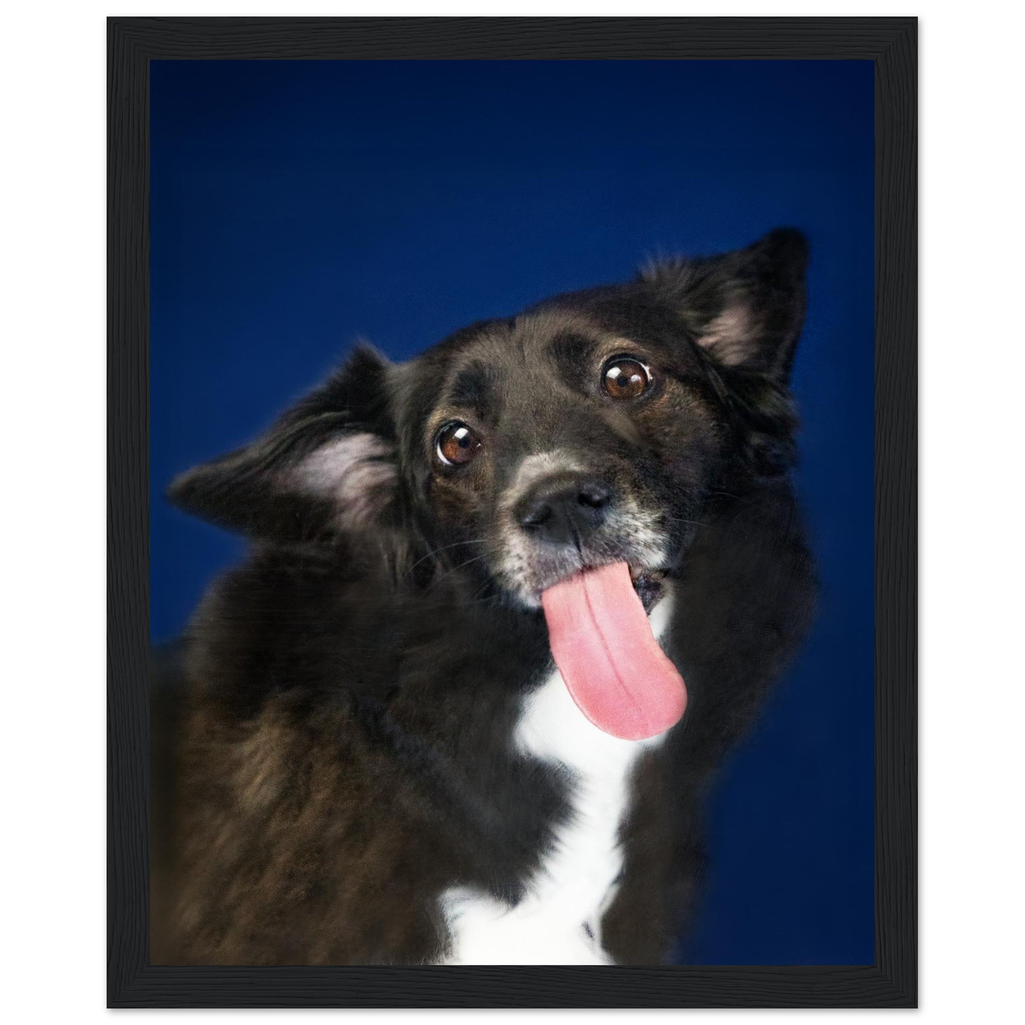 b991d274-57d5-4d38-89b6-50b884779167