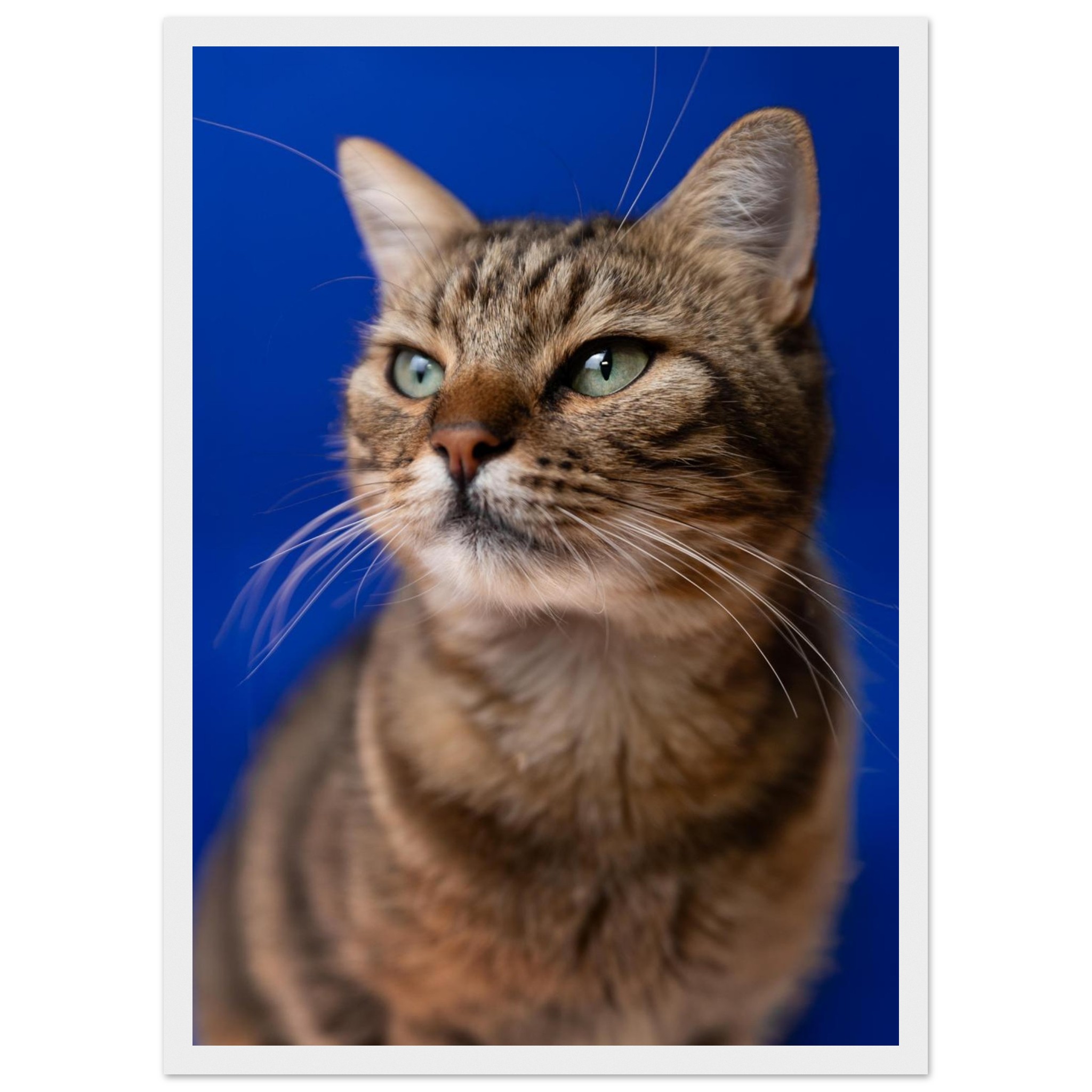 ba0c8ded-1731-4051-ab8d-ca5feb2fd712