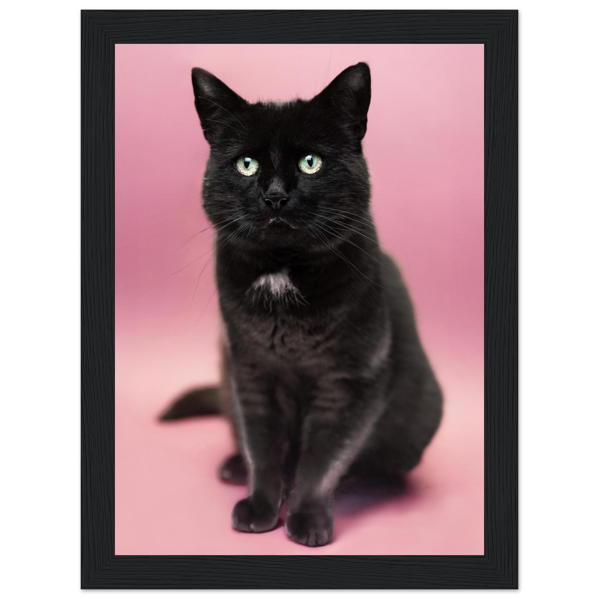 bd4c4365-401e-4303-97ab-0db6d8d7ac62