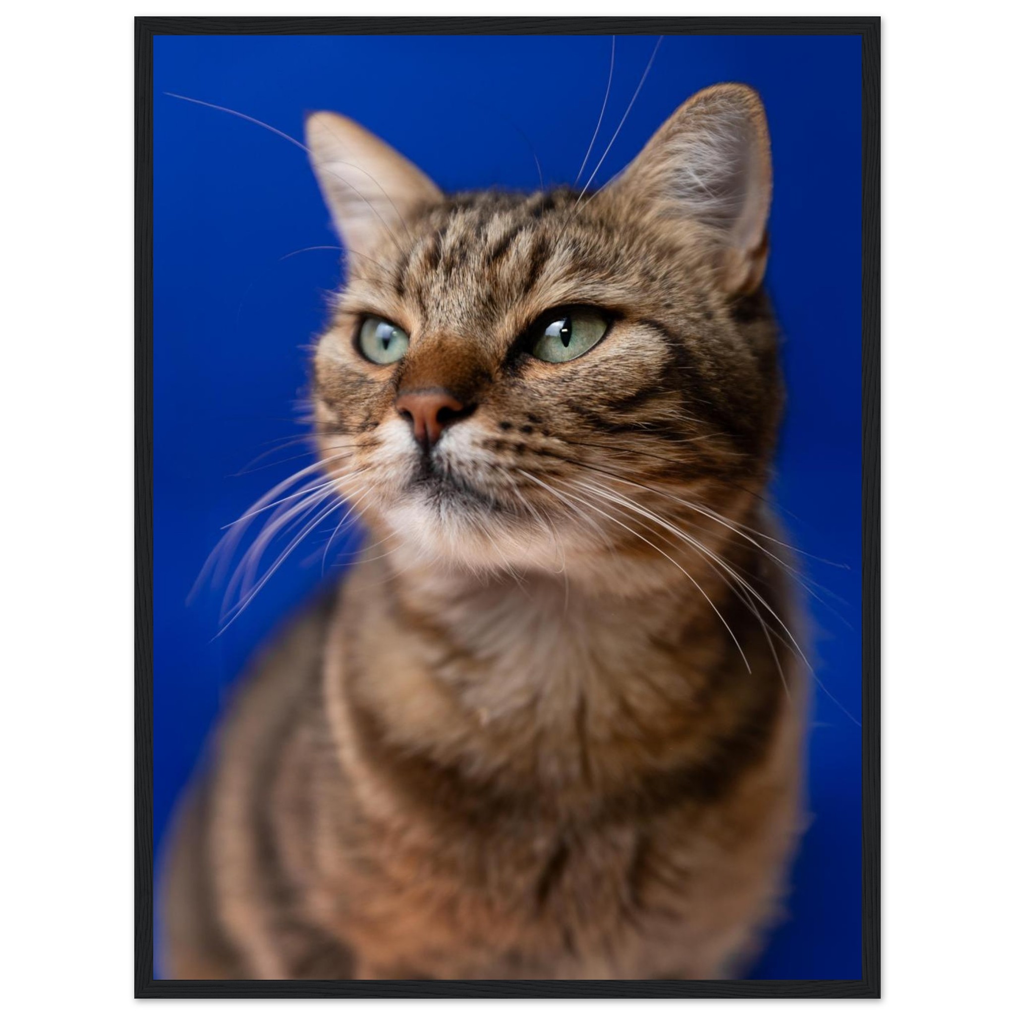 be4b5f0b-ea16-4cbf-b111-47c2842be16e