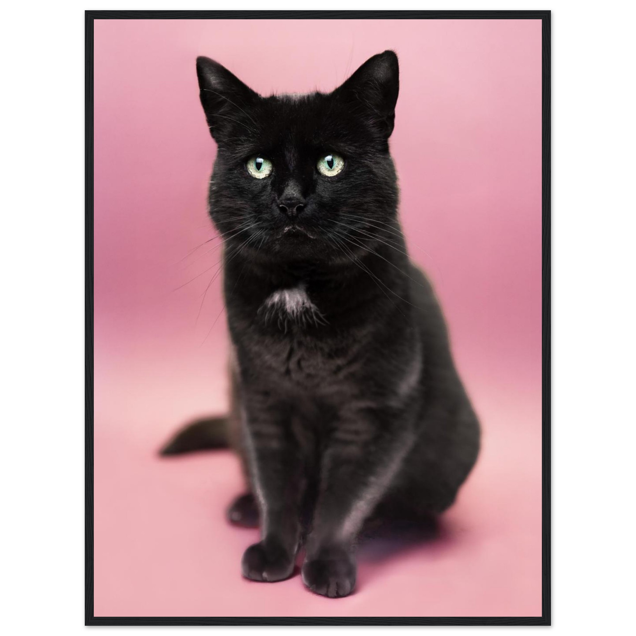 bf293f49-3aa9-41f3-bce8-7b31934bdaff