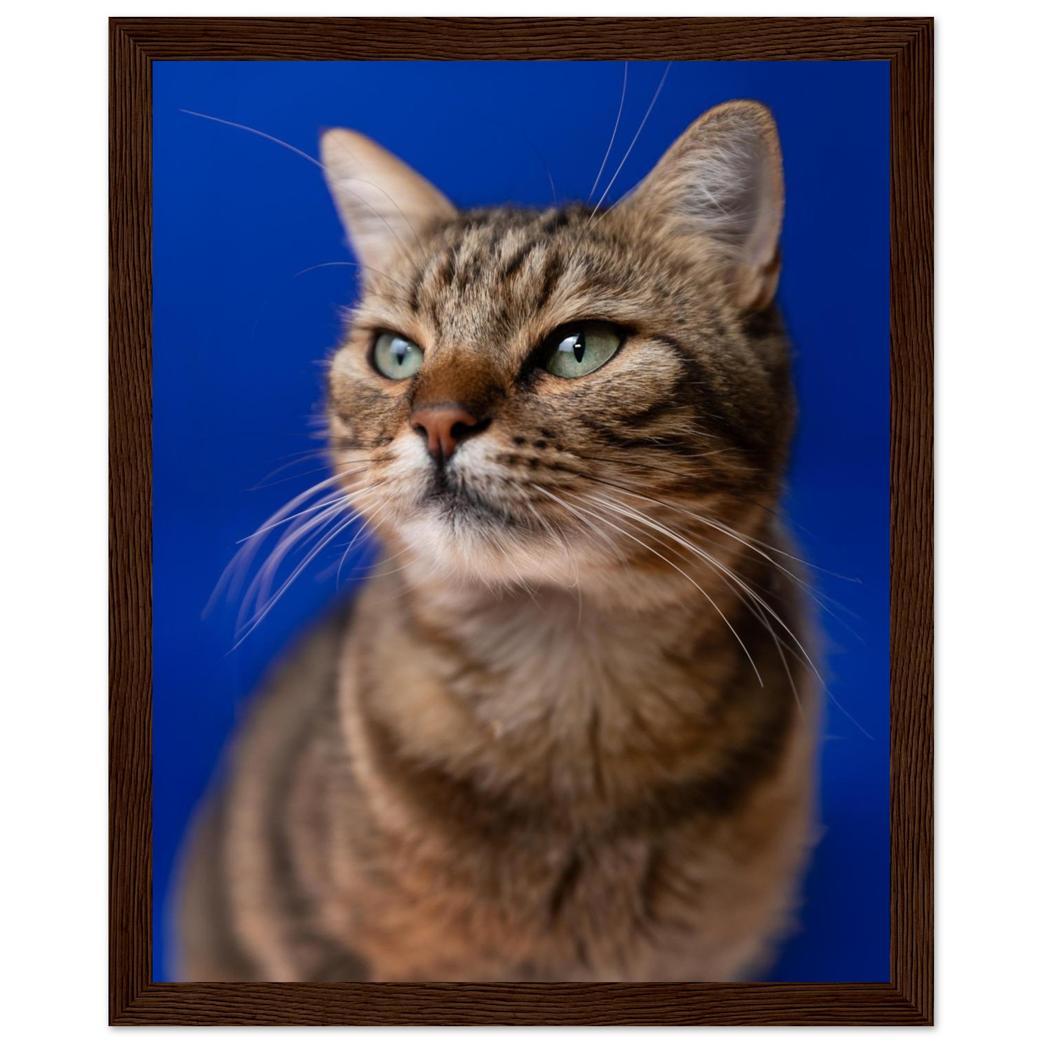 c0a17dbe-1f23-410d-b295-3f15bc855f69