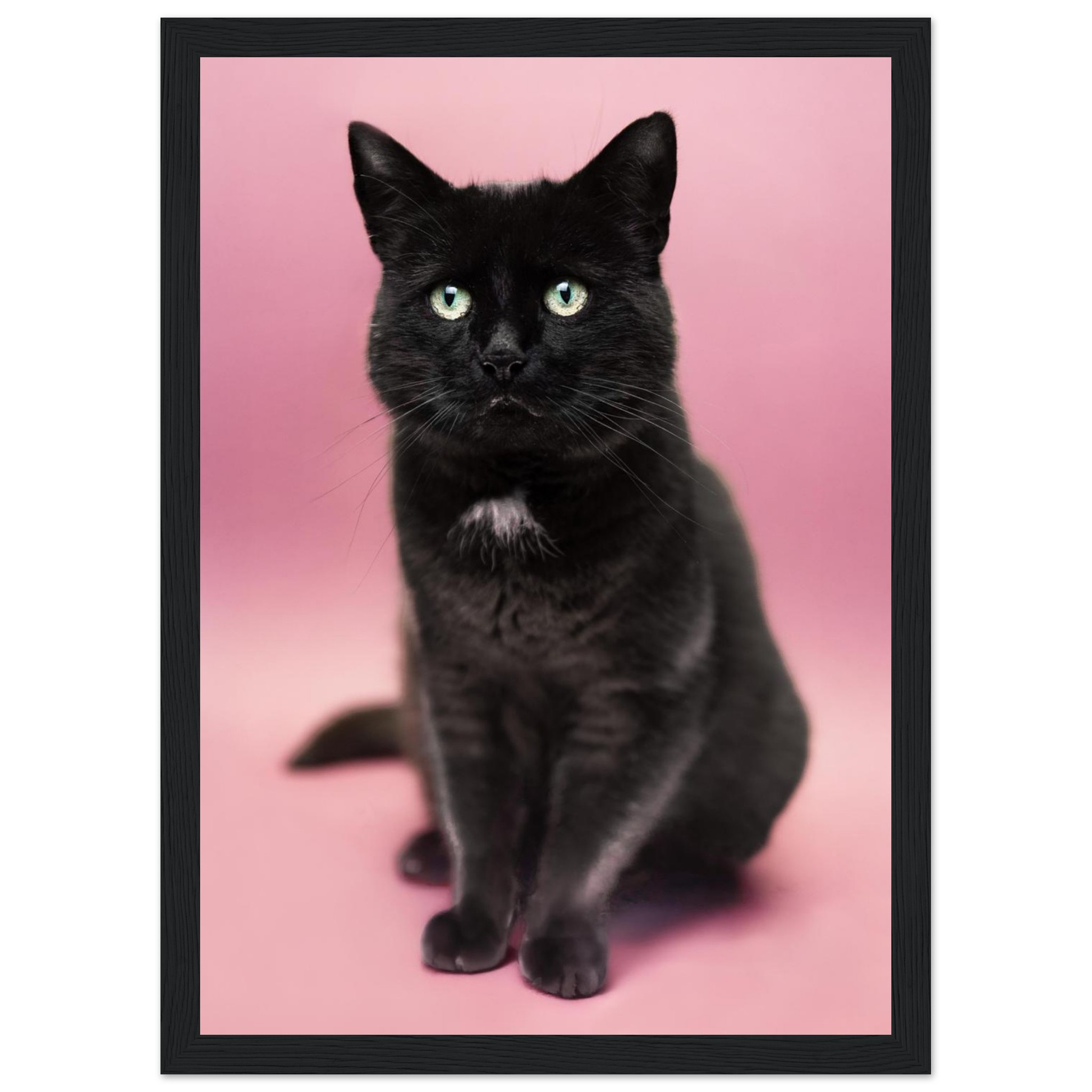 c1d6f91e-02f4-400a-afdd-a477fa15dcea