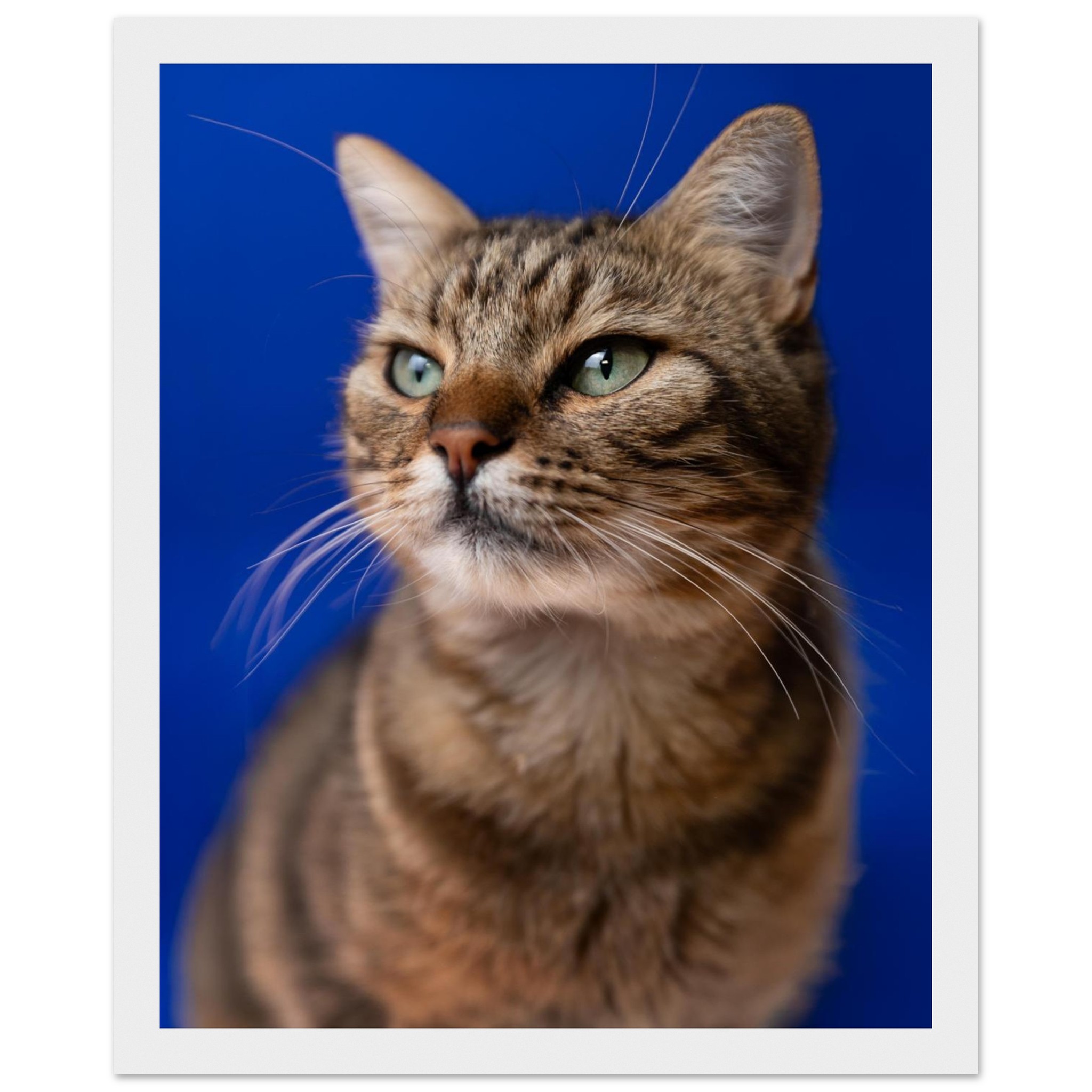 c5e8eec8-3bb7-4ec0-81db-5f08ed76c04c