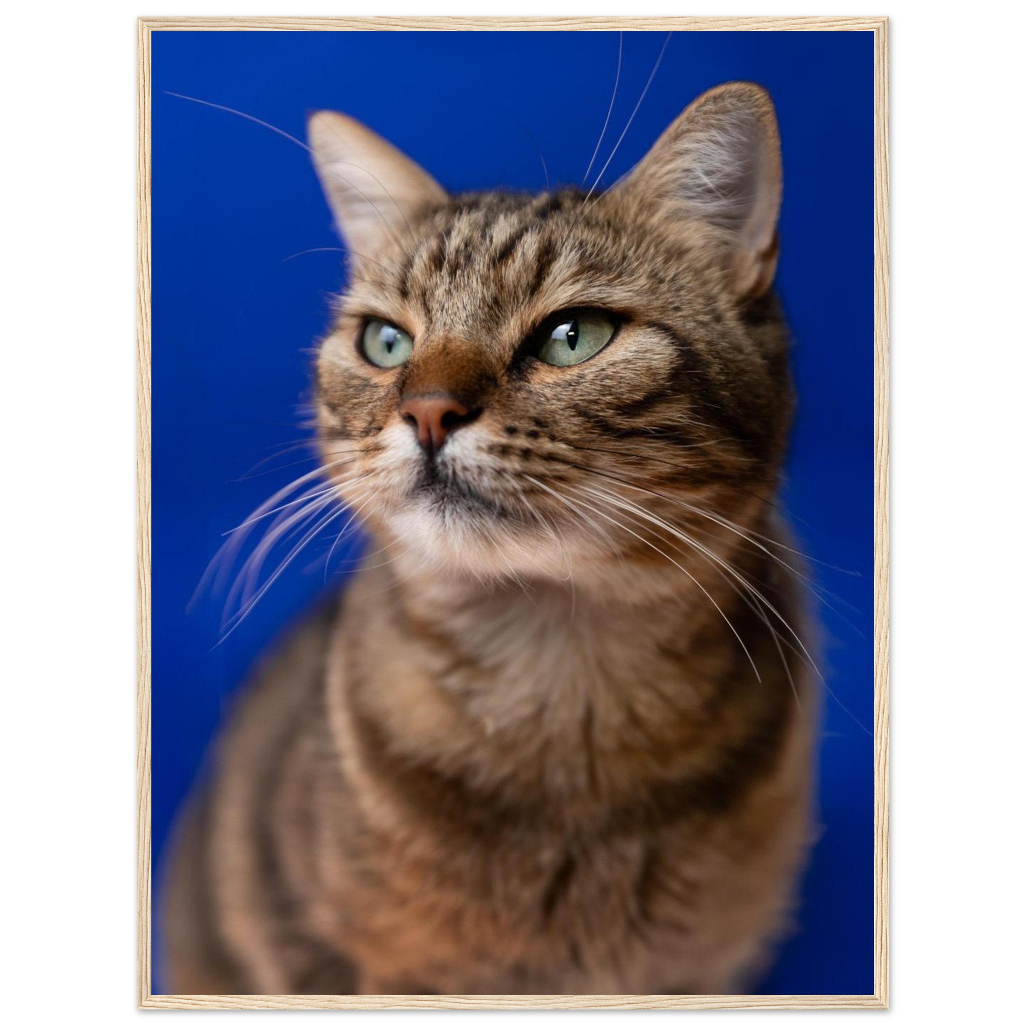 c9173cce-88c8-42c4-a186-78b8c90dfc8d