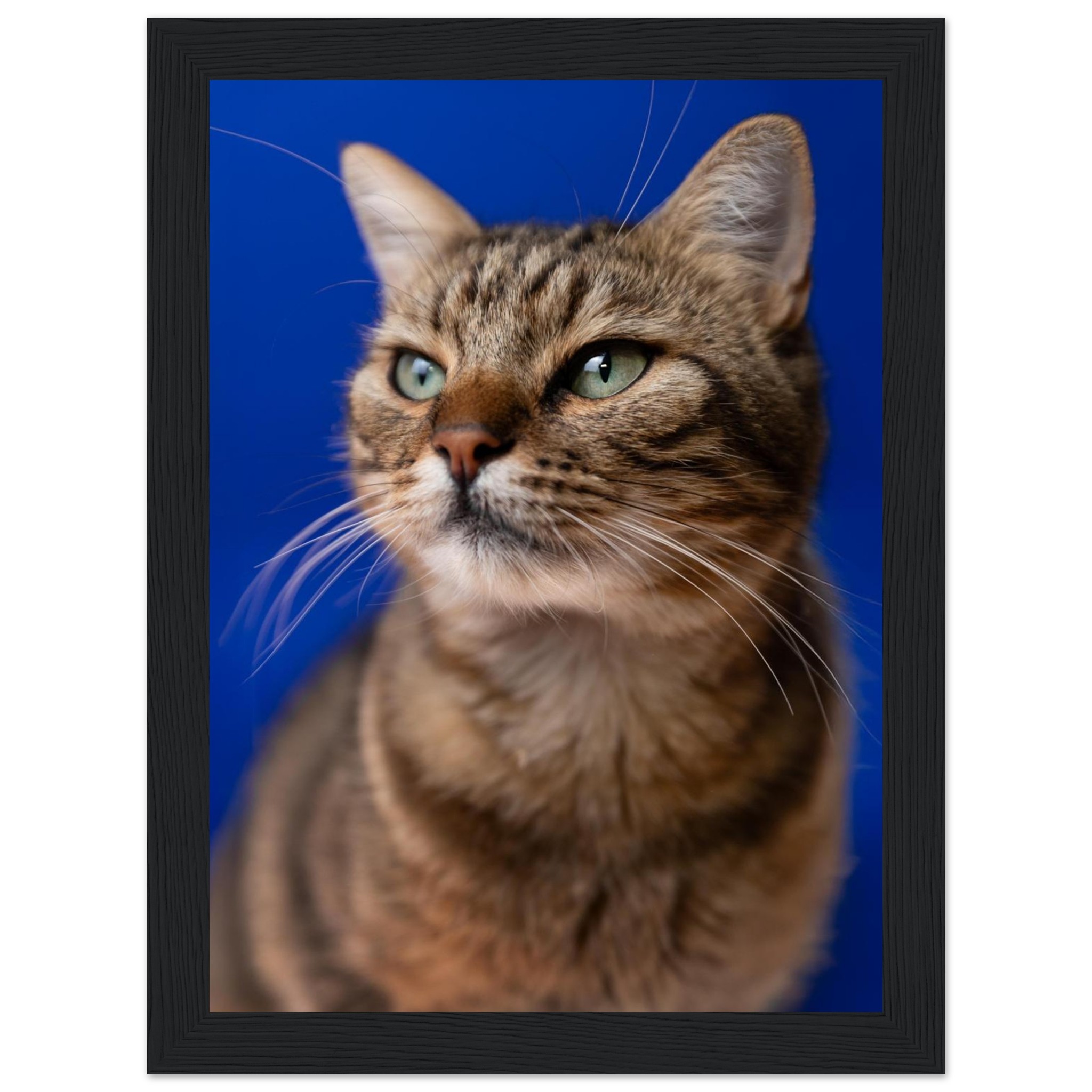 c9cb4c55-5356-4ab4-8e8e-4b3c344dba66