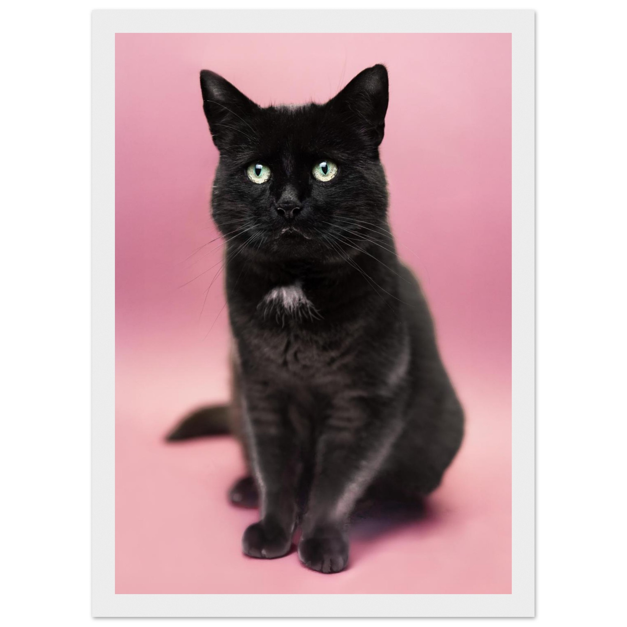 cefdfe2a-6aad-411a-b77f-e54888f0e796