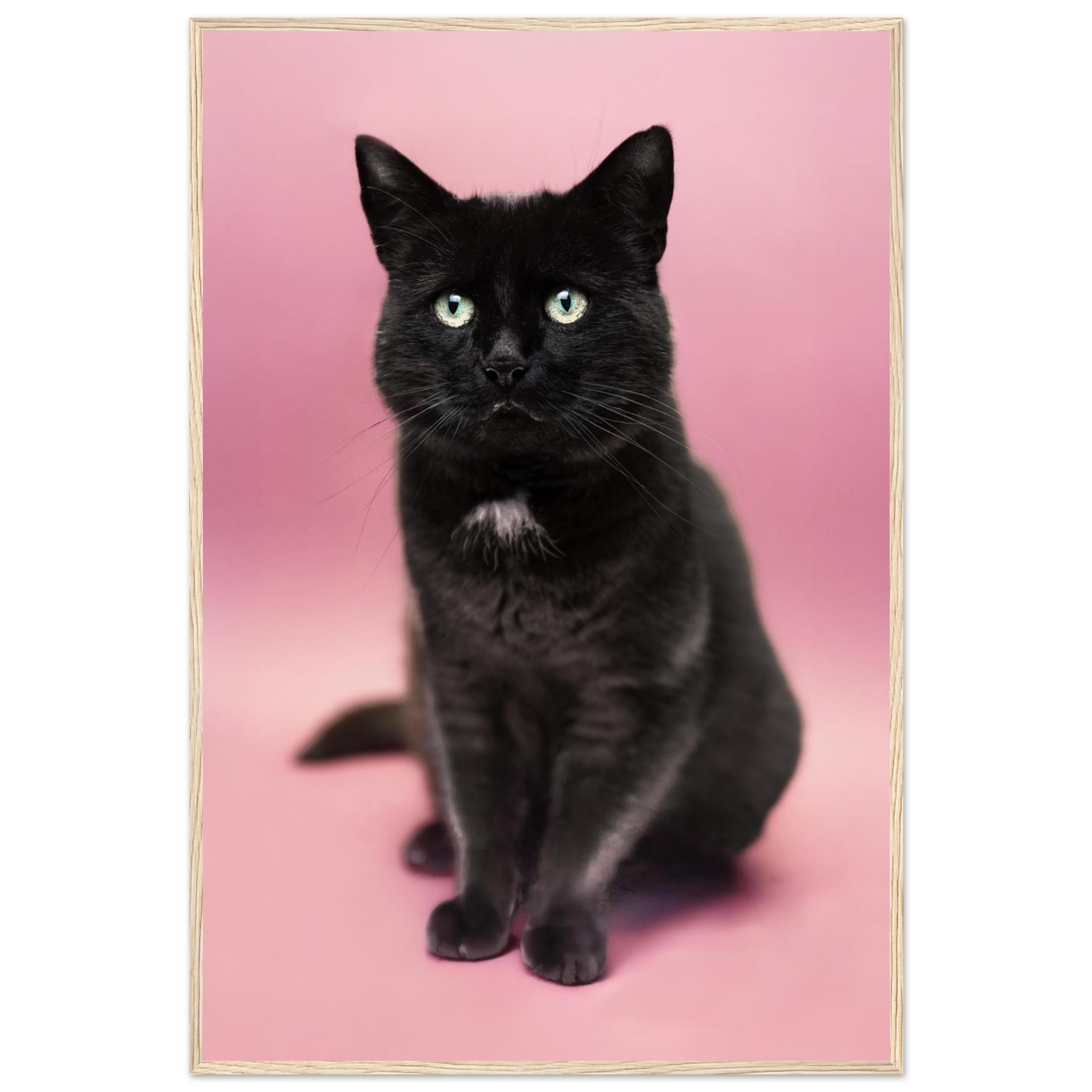 d032b0da-ff38-43c0-9ced-8471d1c5447f