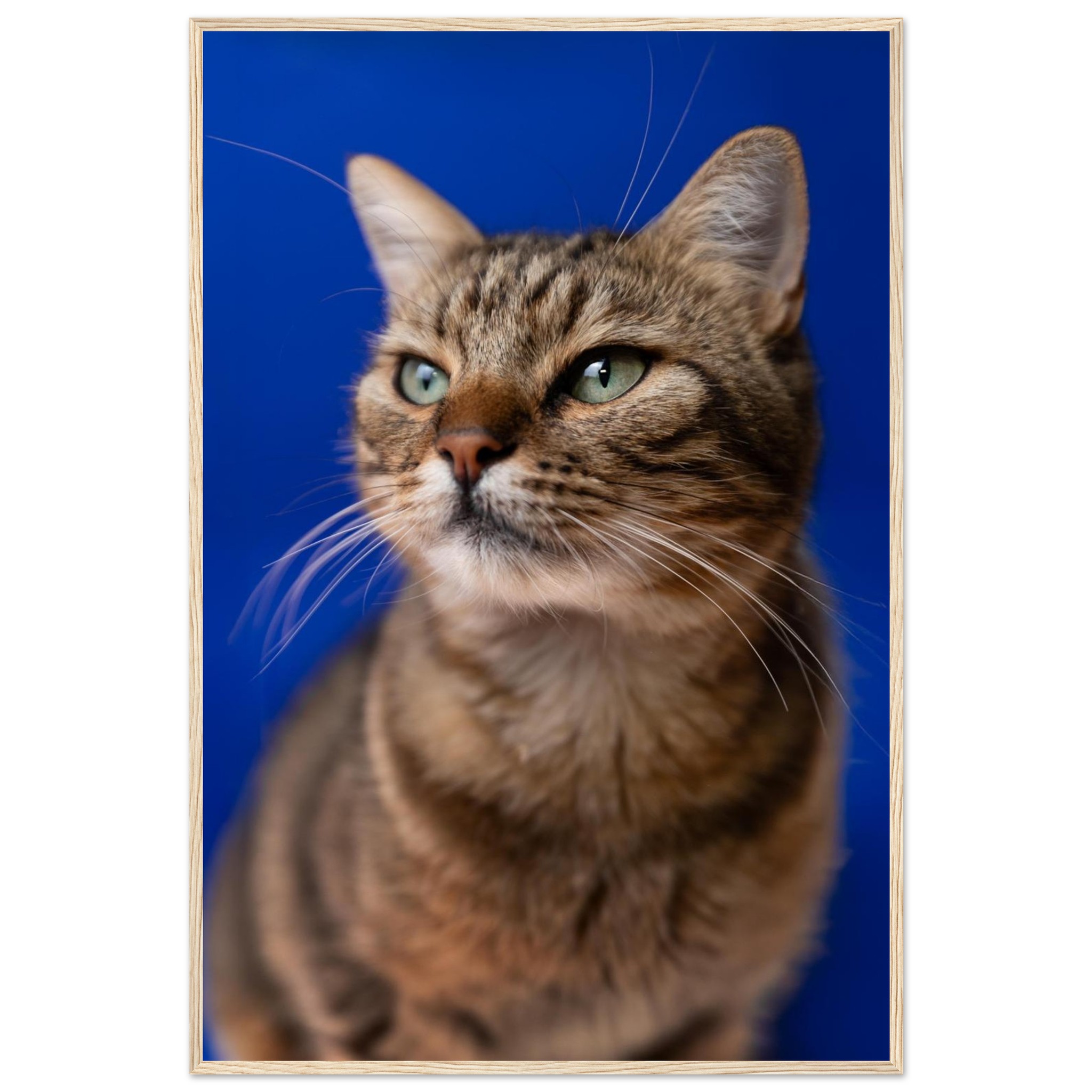 d690870d-40e5-4aae-bc31-426d4a576d4c