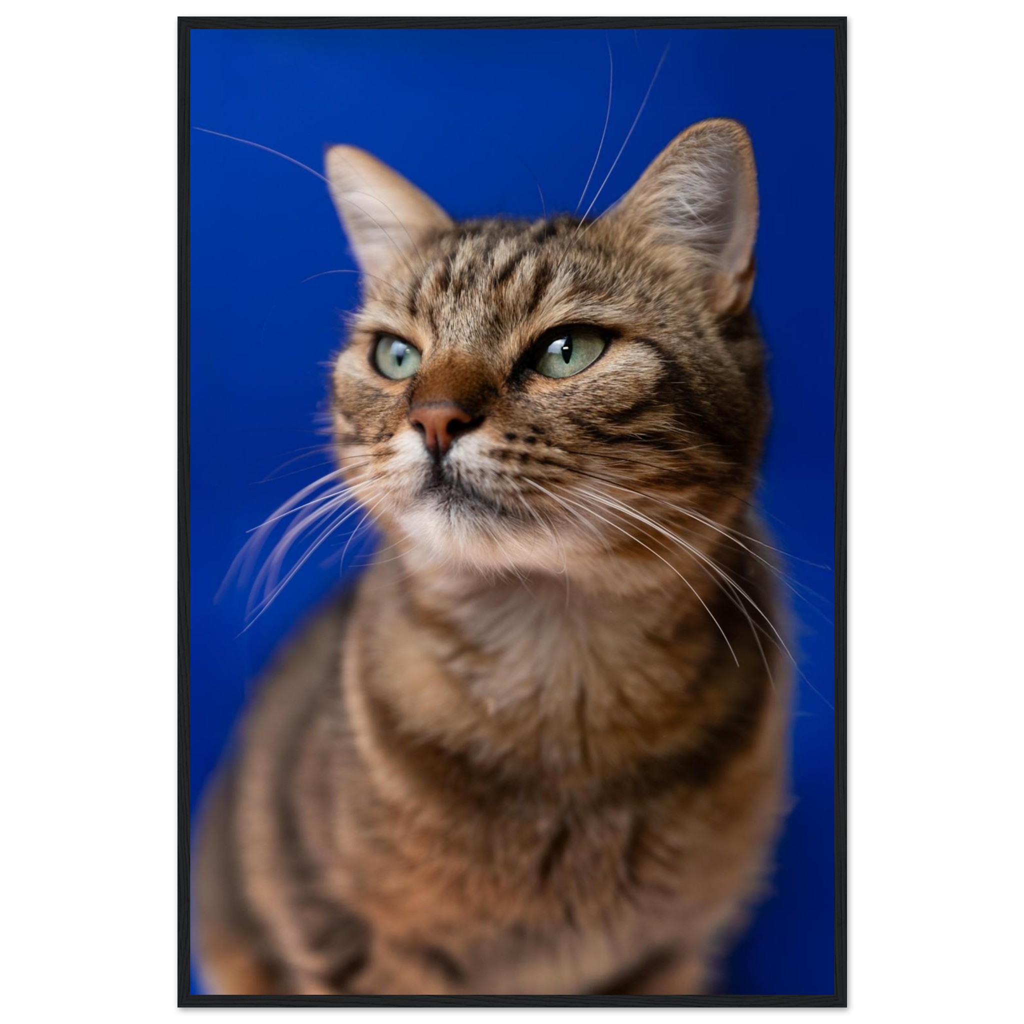 d785c6fe-146f-47fb-a76f-28aad8ba6601