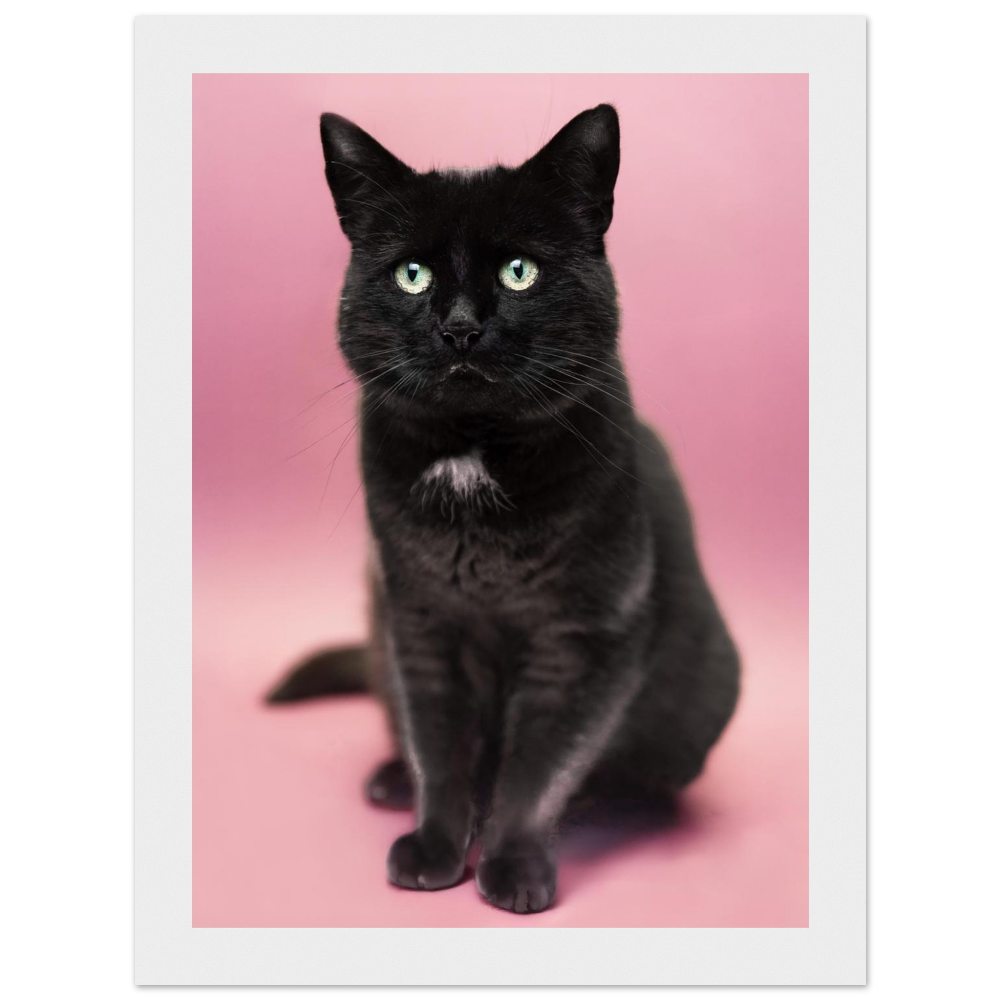 dbcb511e-689b-4549-86dc-57b9fac51c2f