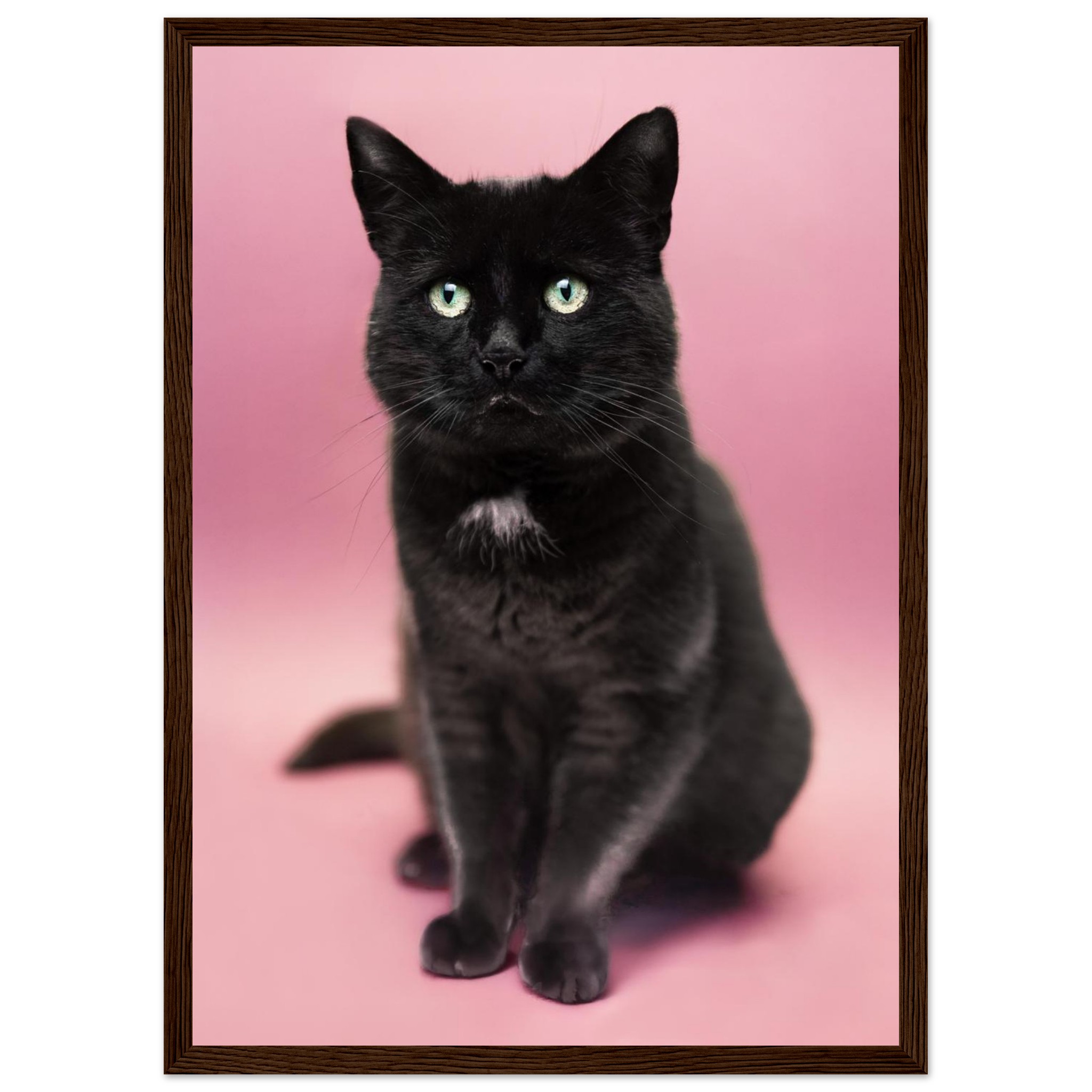 dcff2025-1d55-4469-8f24-c373bd8259ba