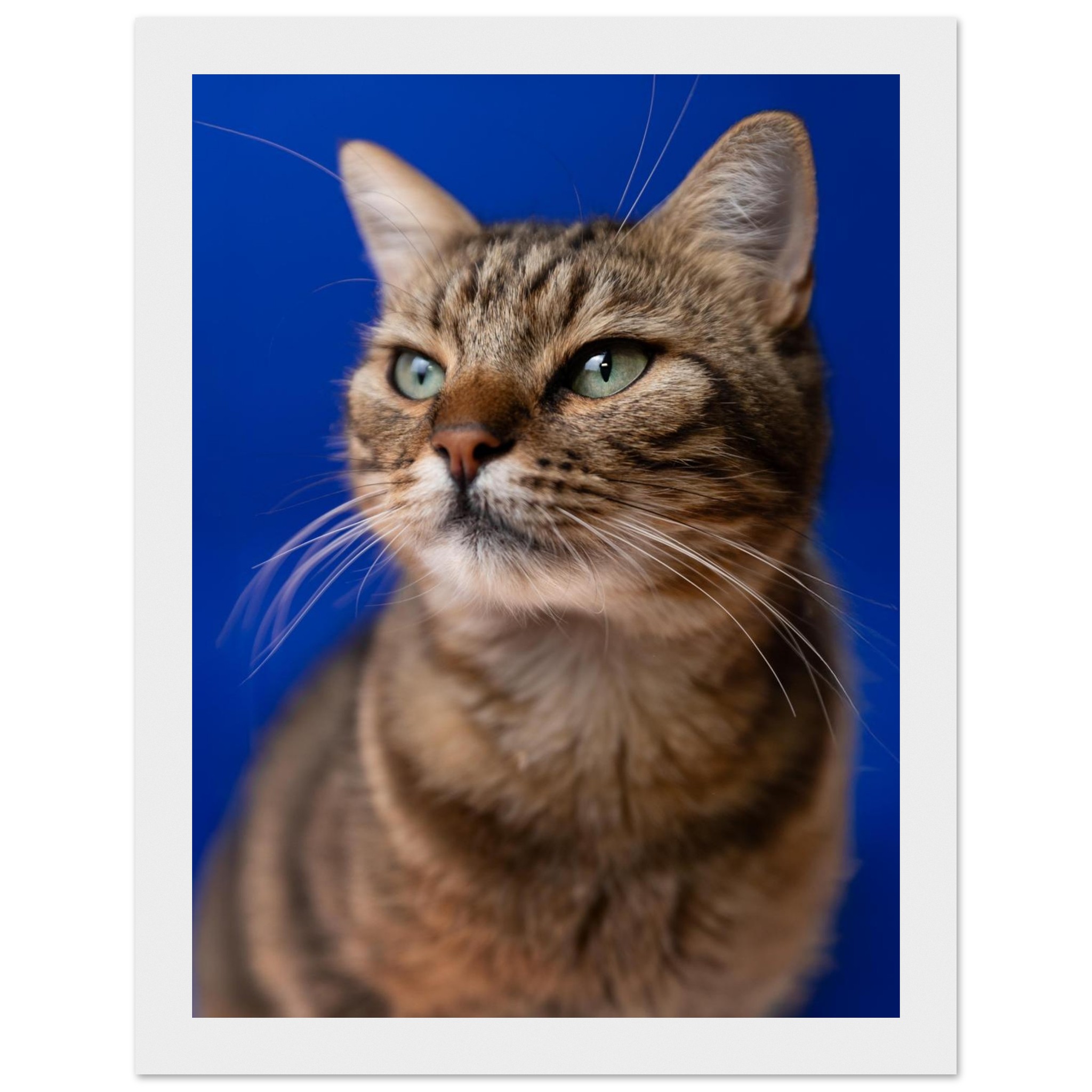 ecb29b77-c3be-4ebf-bf1b-76c33ef96009