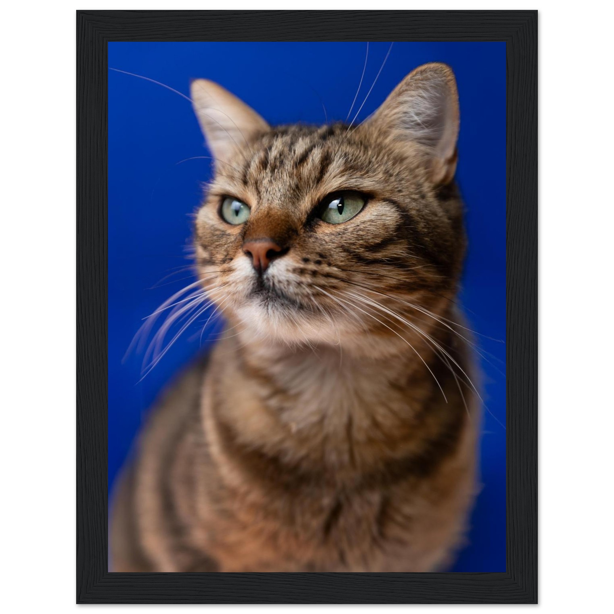 ed0a1552-a9df-4661-b553-42c2dc0952e9