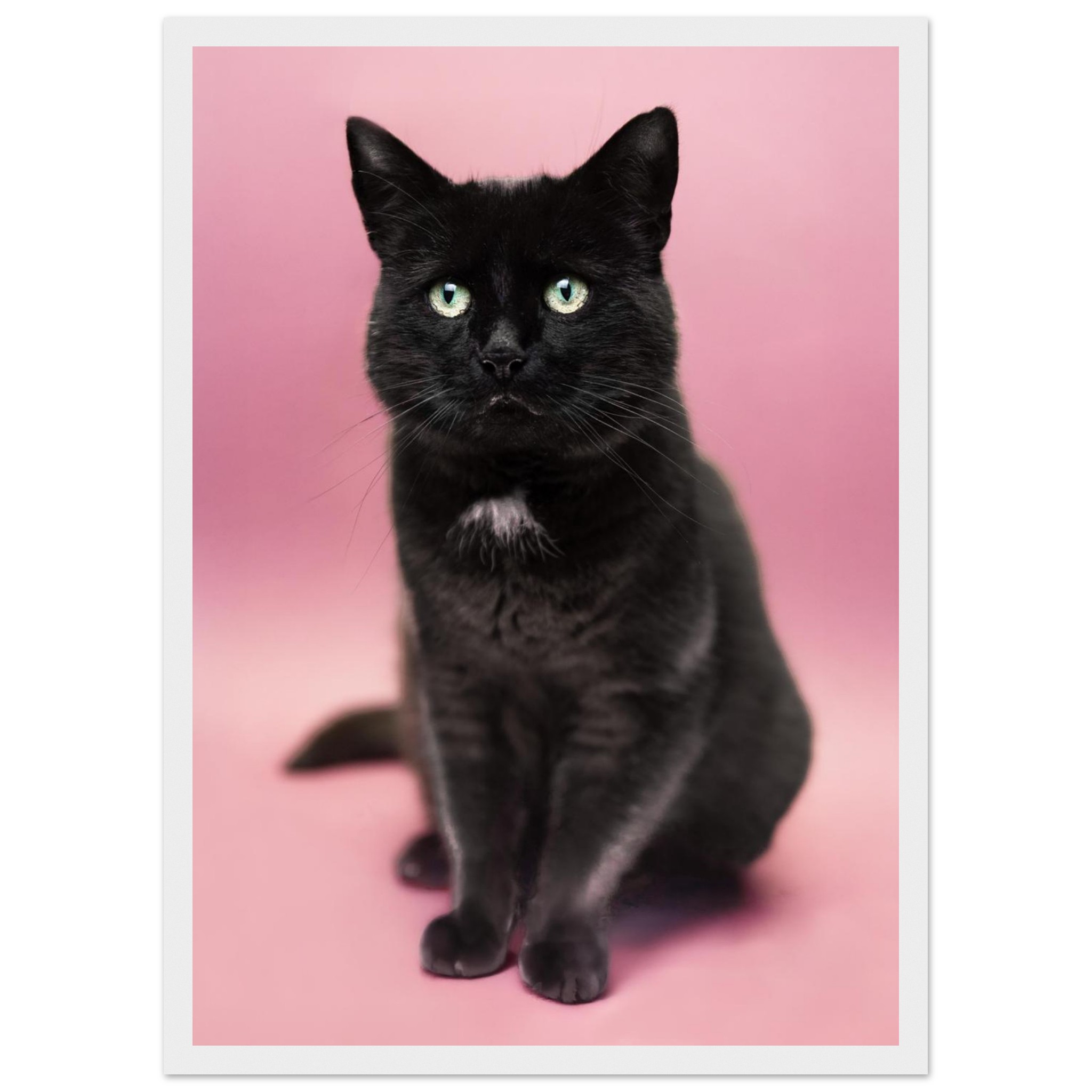 f1617ba9-2aa8-42c9-83ae-243d664bf6c4