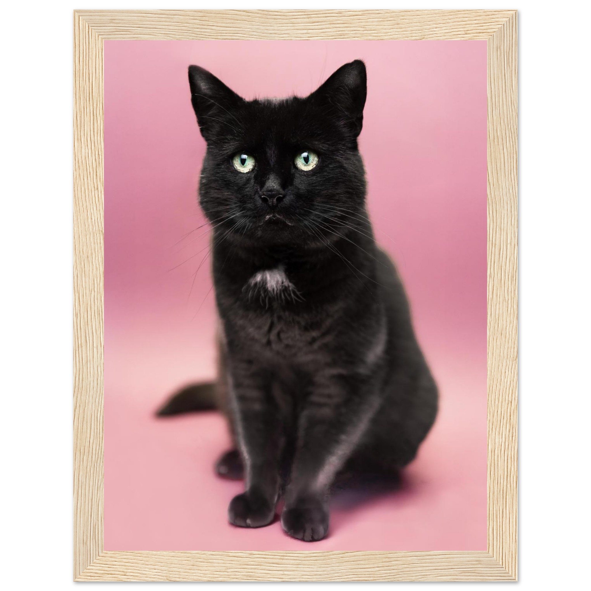 f1619471-edd6-42e9-9613-765e9a054b7b