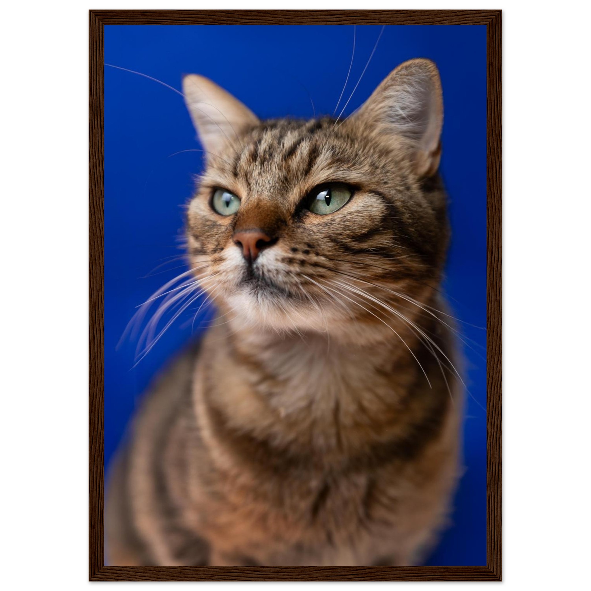 f464b4b9-405a-487c-b15b-24d5464e1043