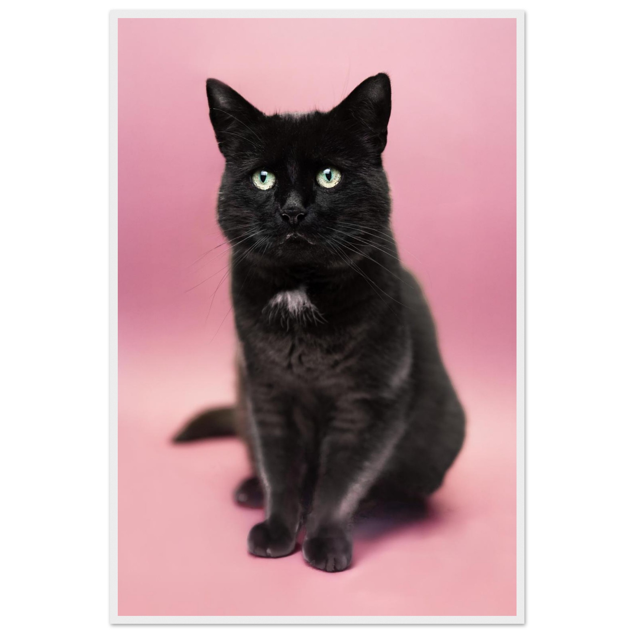 f8679a5d-8319-49f2-b67d-64607df39dfa