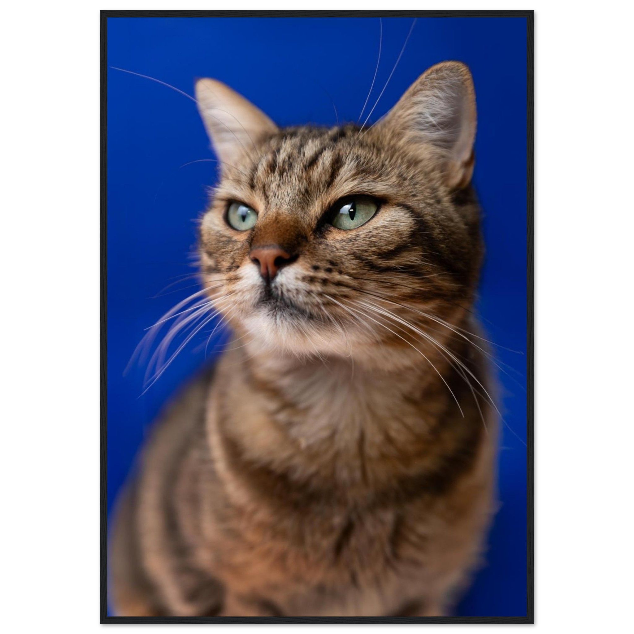 fa62ccf3-7a38-4c9e-9a60-02e46f06160e