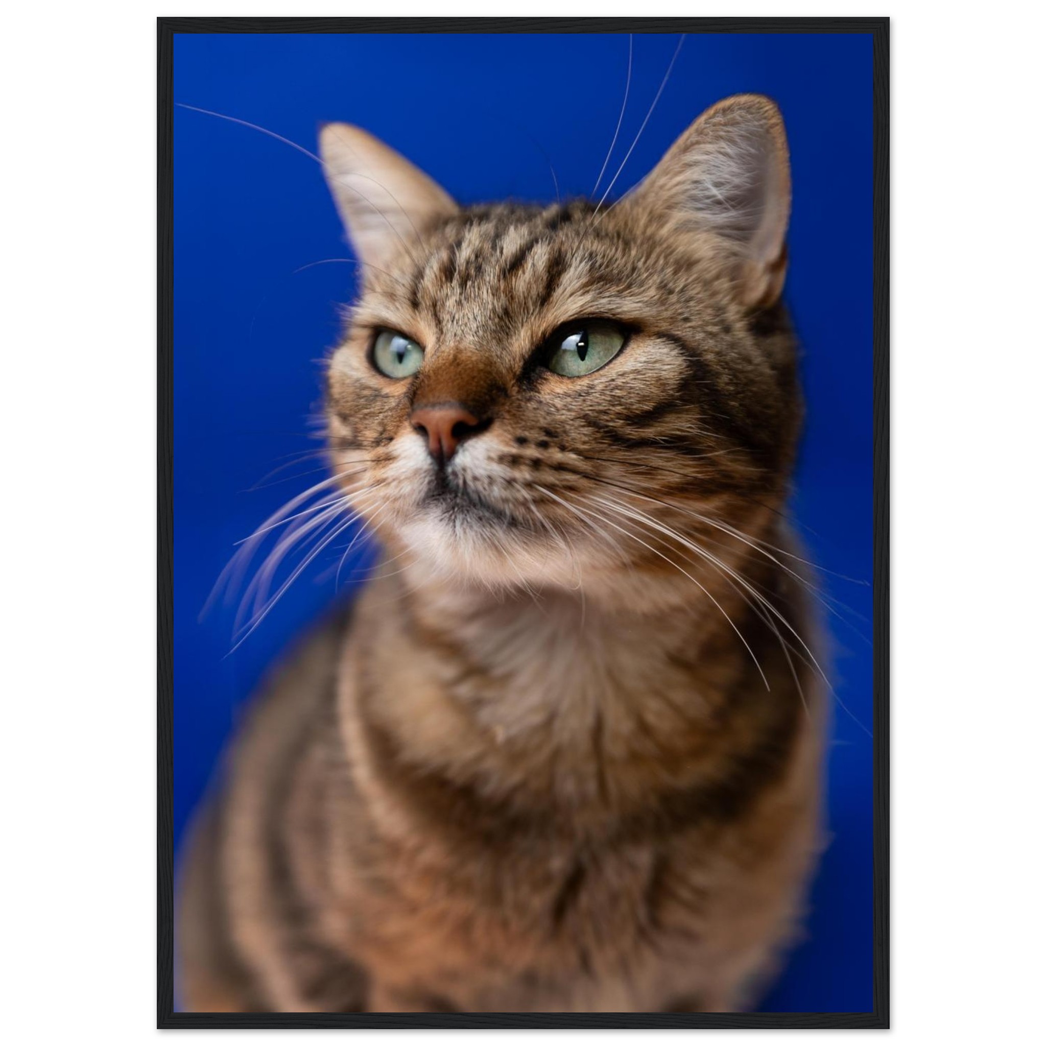 fc6ff9fb-b77d-4cd0-9b89-f01958d6a712