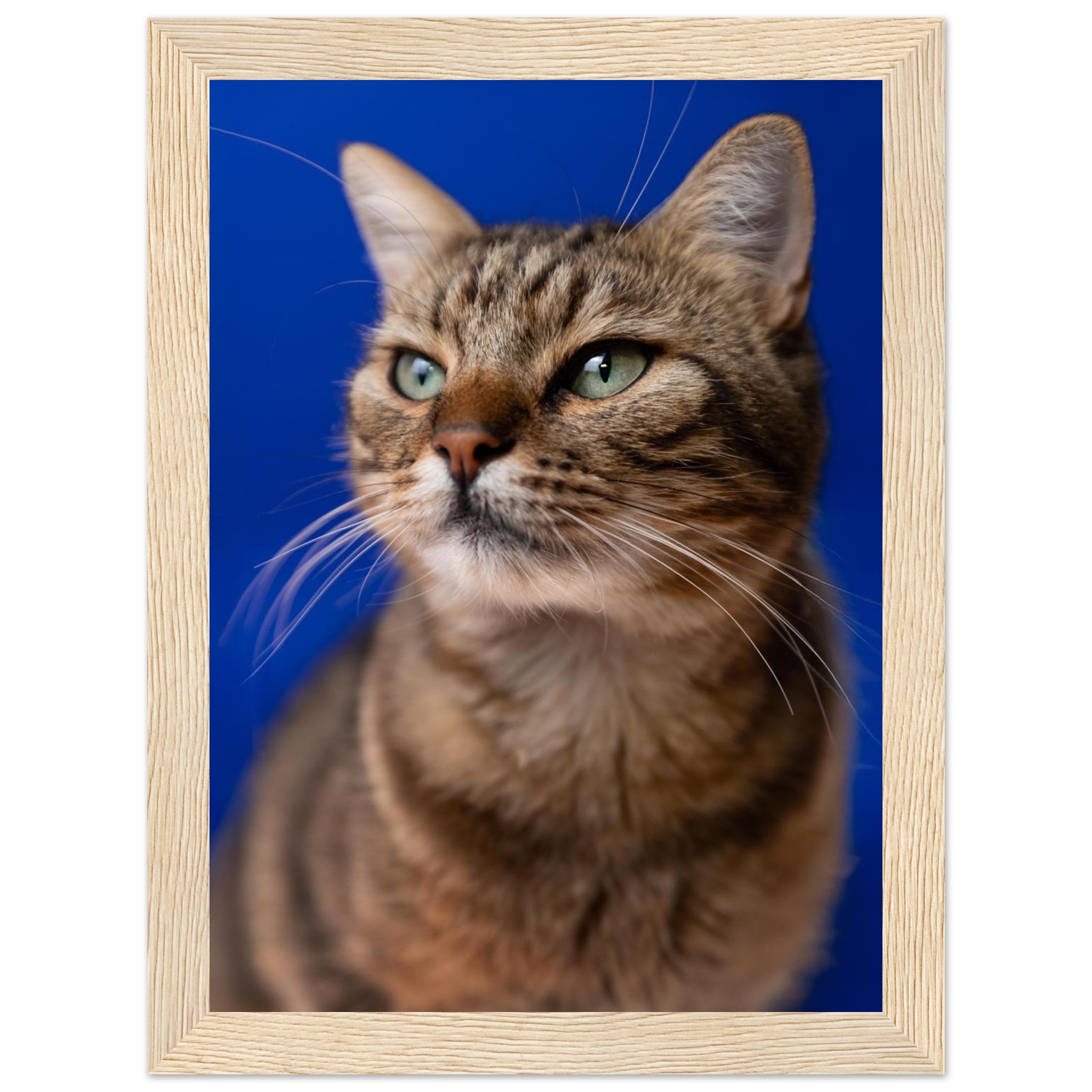 ff736d92-1228-40aa-a84e-7ec96442f895