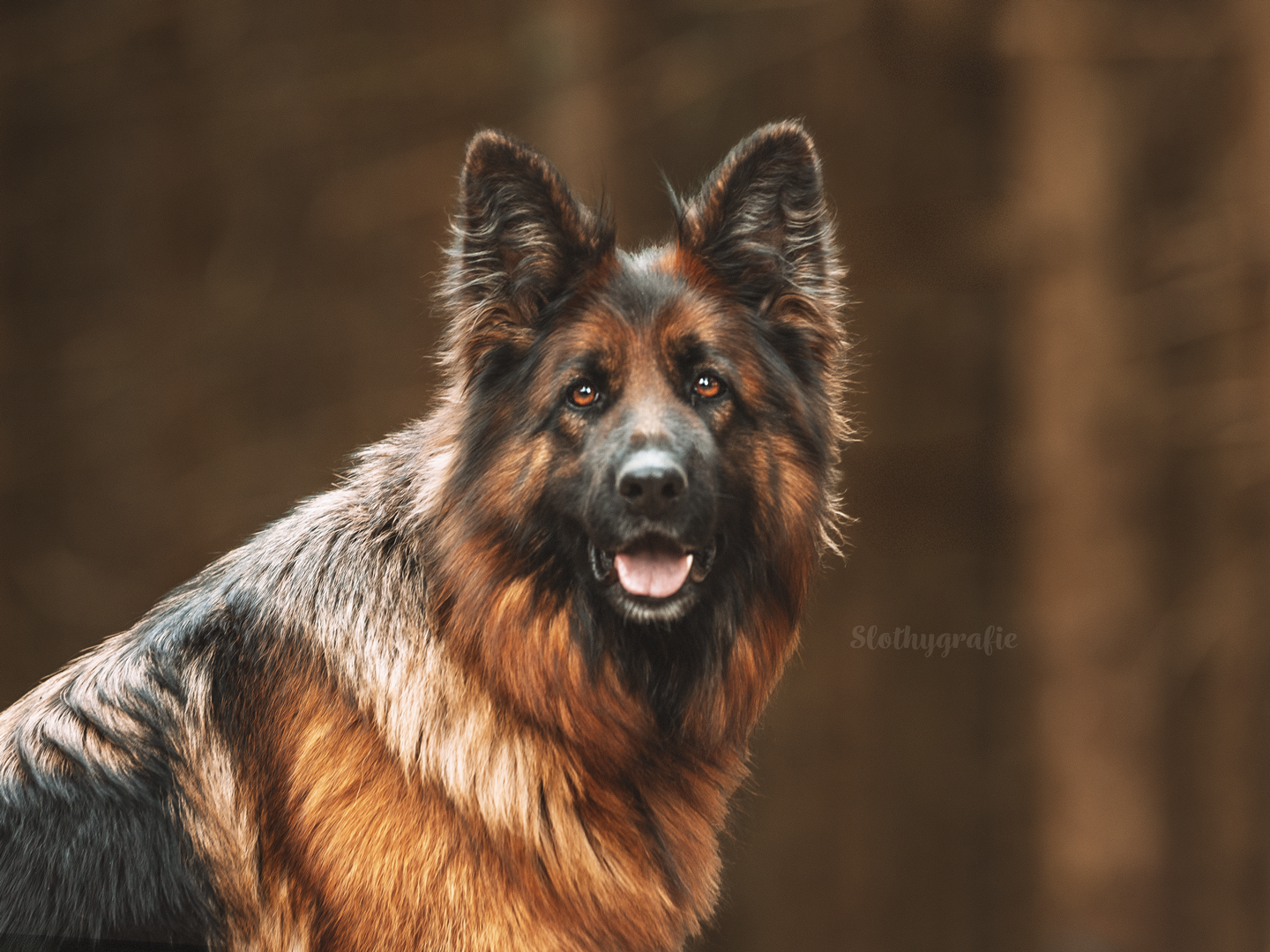 Fotoshooting in Amerdingen mit Fenya