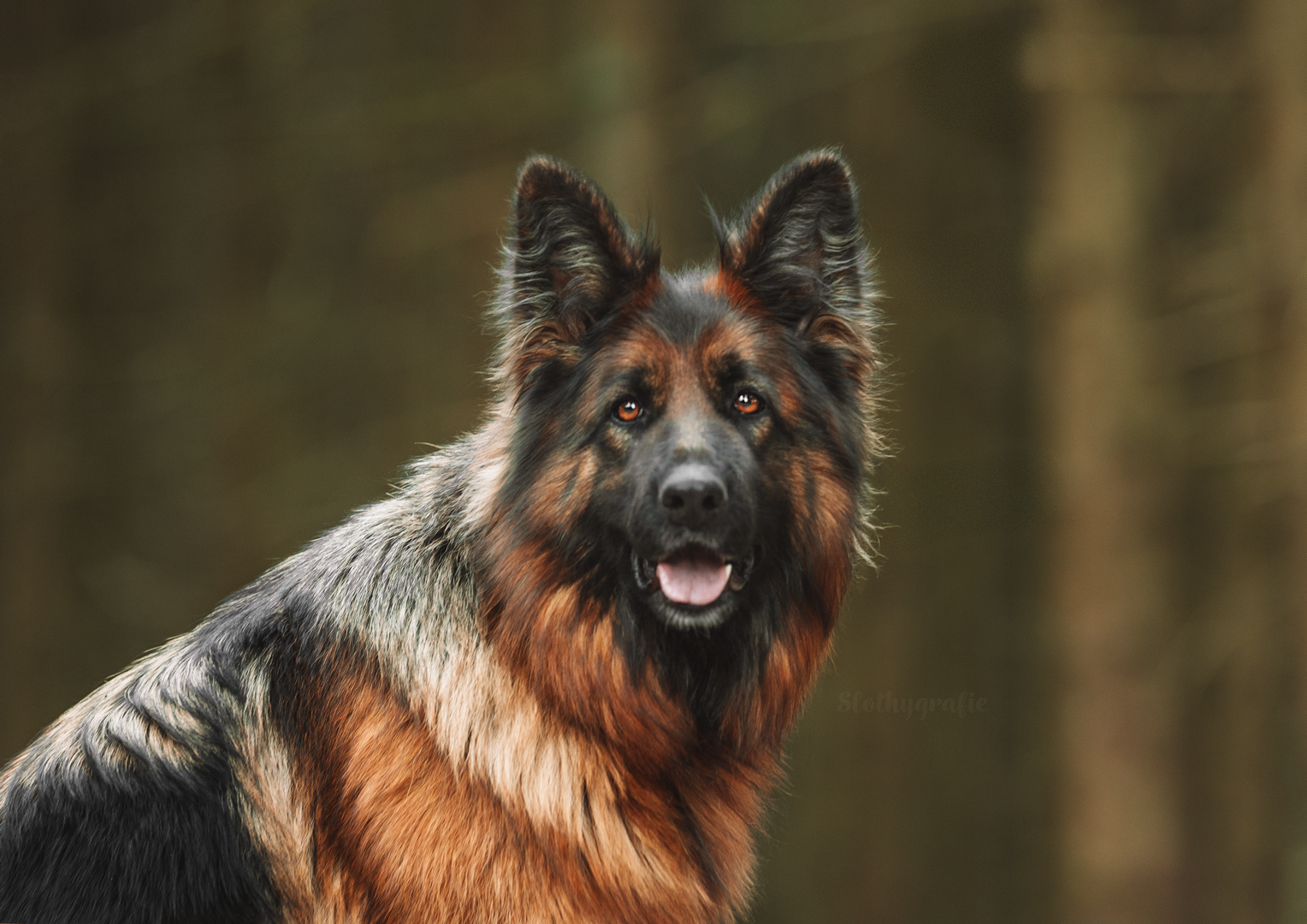 Fotoshooting in Amerdingen mit Fenya