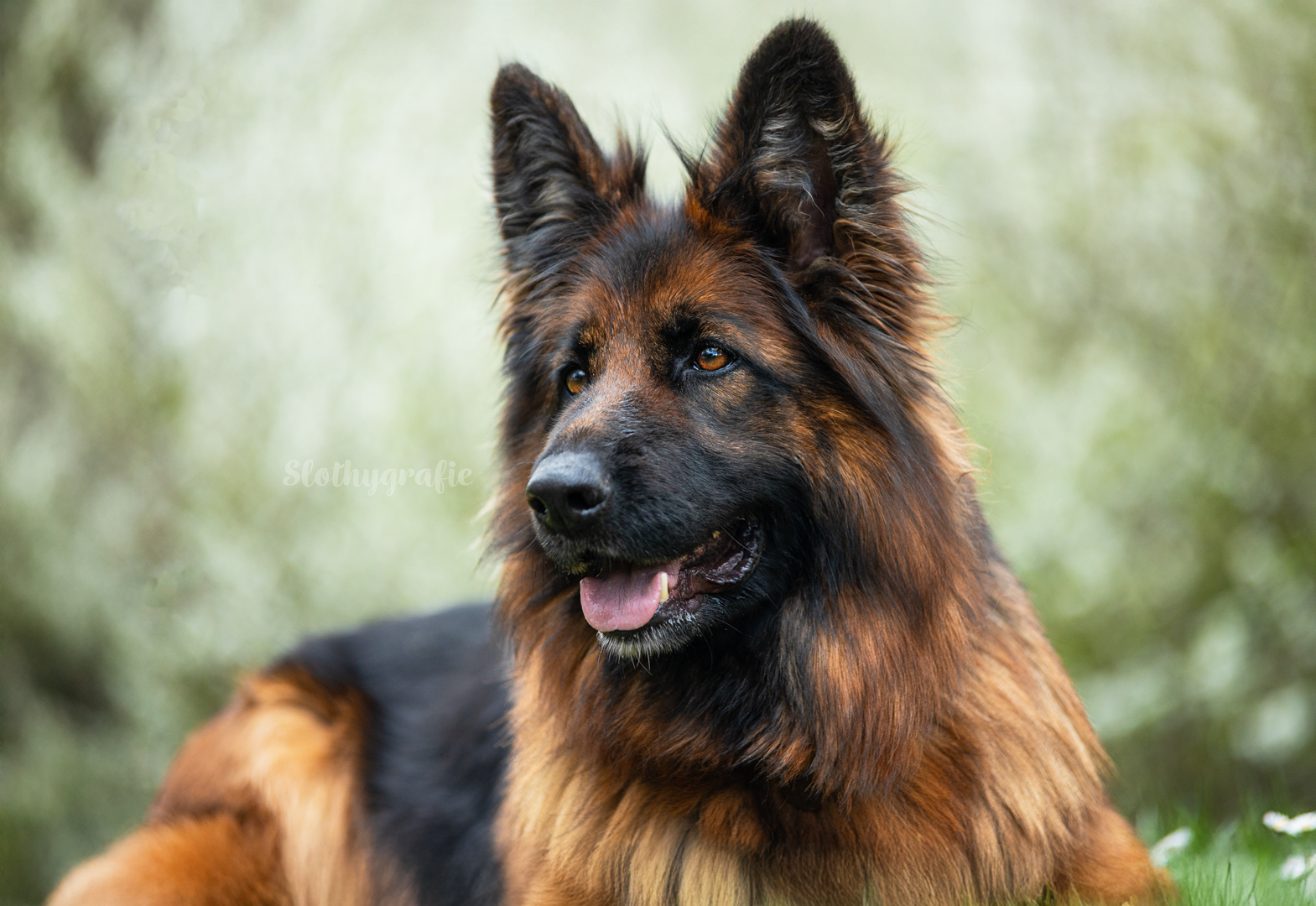 Fotoshooting in Amerdingen mit Fenya