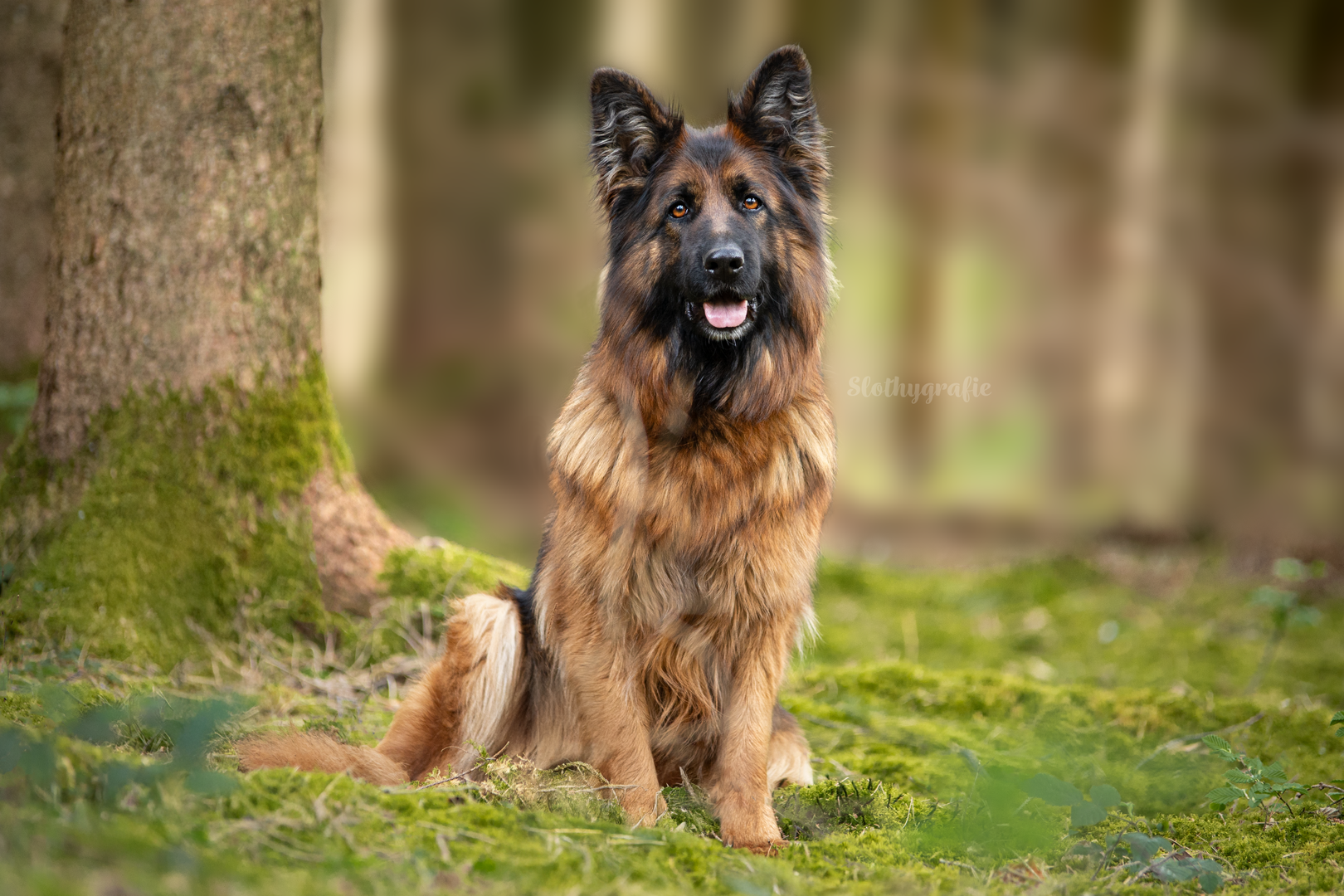 Fotoshooting in Amerdingen mit Fenya