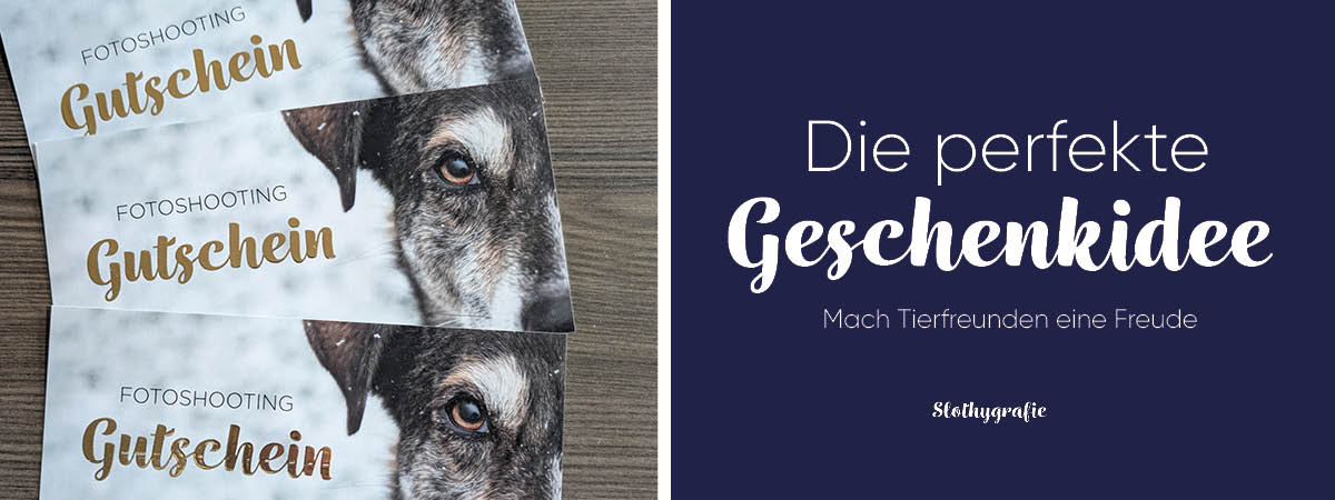 Die perfekte Geschenkidee - Gutscheine zu Weihnachten oder zum Geburtstag