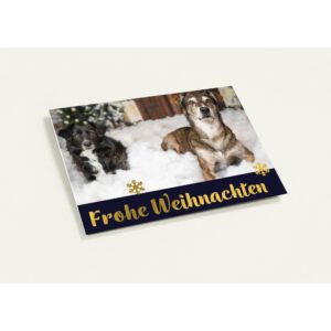 Frohe Weihnachten - Weihnachtskarte mit Hundemotiv - Set mit 10 Grußkarten