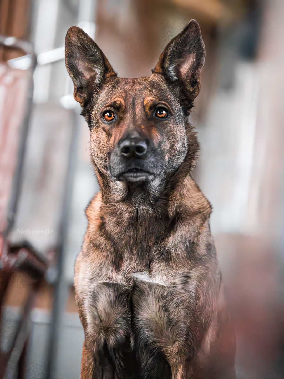Anuuk beim Fotoshooting in Grünwald München
