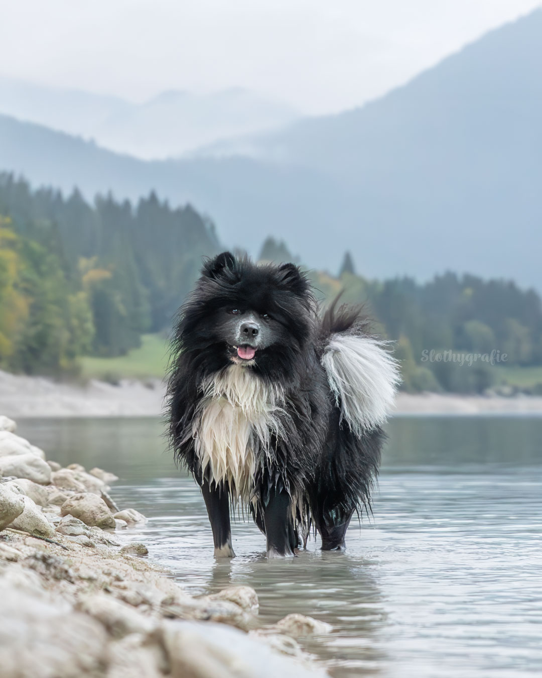 Marlon am Sylvensteinspeicher
