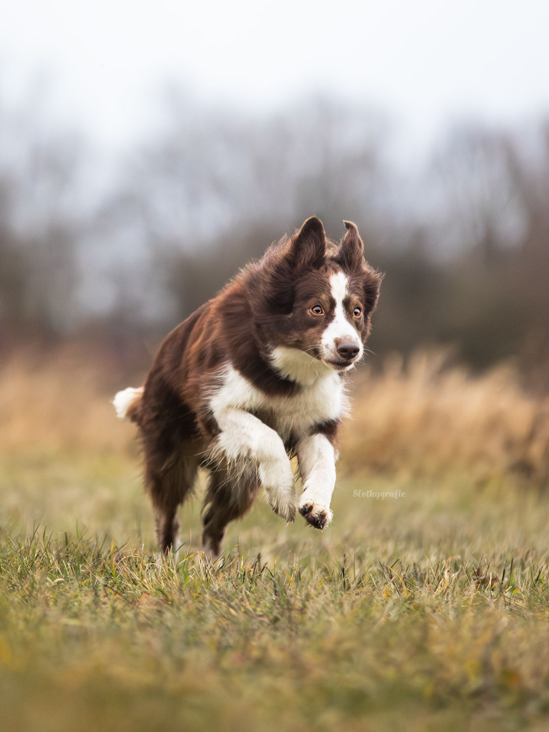 Fotowalk auf Gleisen mit Gino