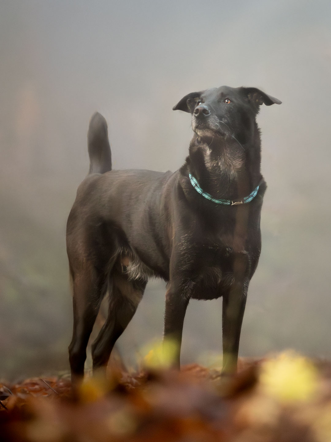 Fotoshooting in Heidenheim