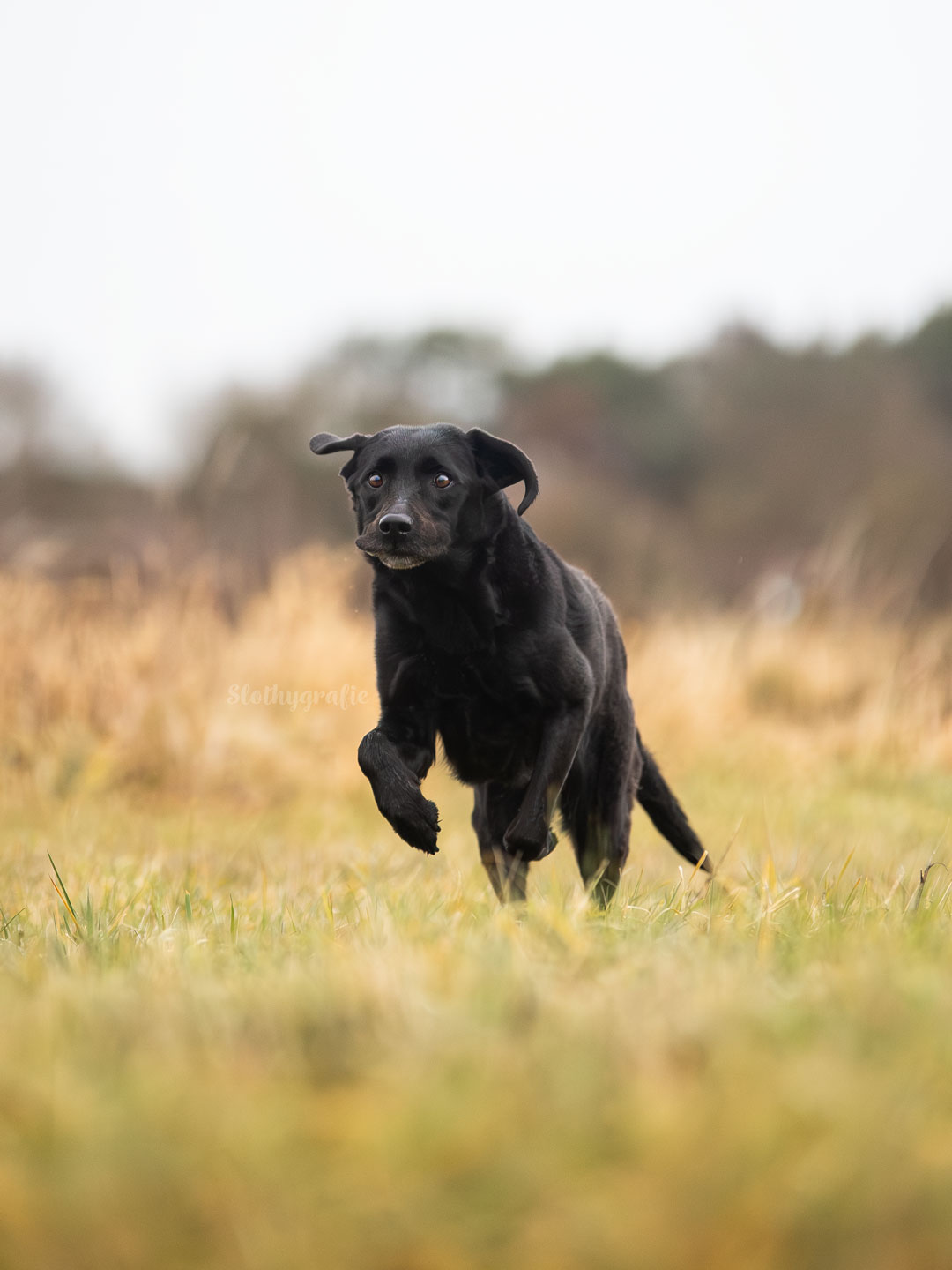 Actionshoot mit Wanda auf dem Fotowalk auf Gleißen