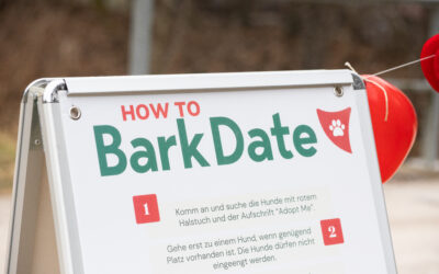 Bark Date Wochenende: Als Fotografin beim Bark Date in Würzburg & Ellwangen 🐾📸