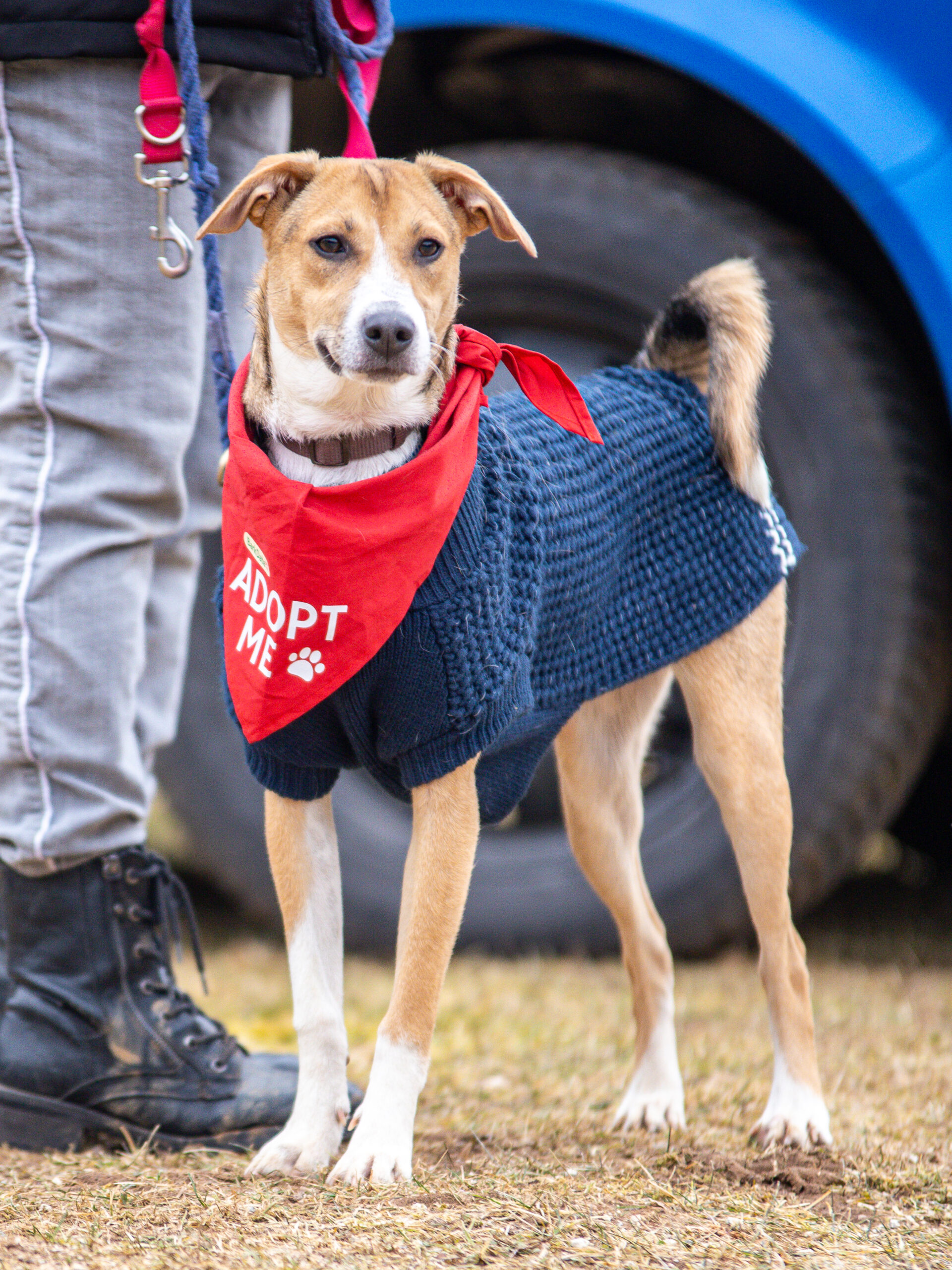 Bark Date in Ellwangen mit der wunderschönen Leica 
